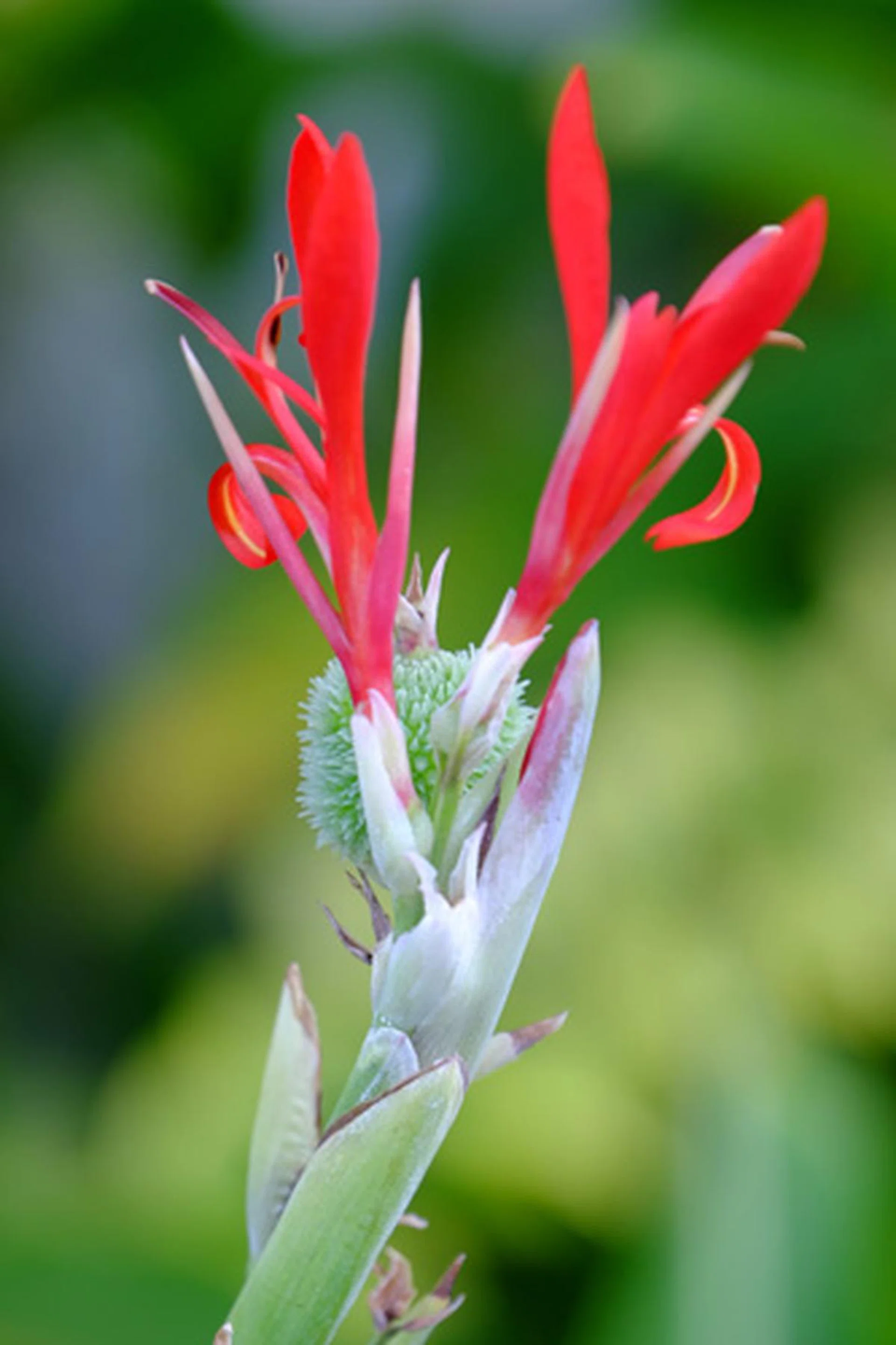 f/5.6 at 135mm, 1/60s, ISO320