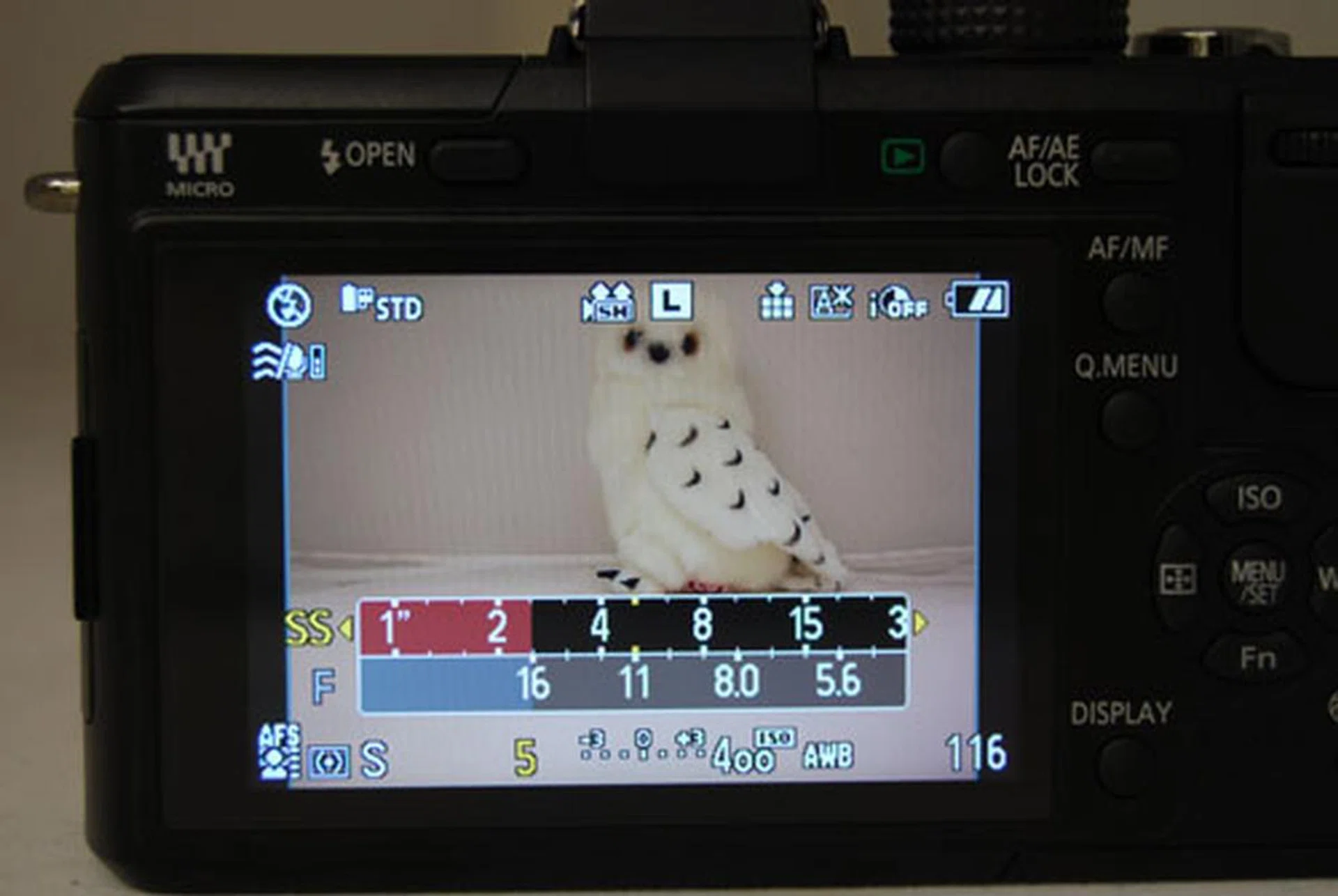 The shutter/aperture meter appears whenever you're in shutter/aperture priority or manual. As one setting is changed, the other shifts in kind, and settings that the GF1 thinks is inappropriate is marked out in red.