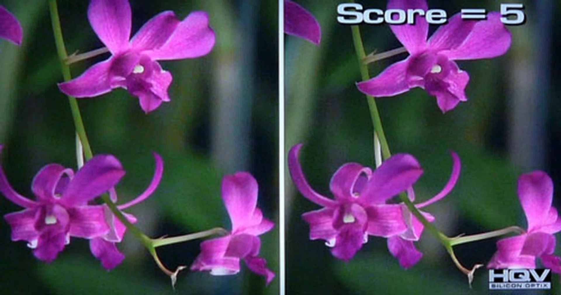 HQV Digital Noise Filtering Test: Panasonic isn't known for their noise filters, and this trait was apparent during the HQV trials. Noise grains persisted even with the P-NR filters set to Max.