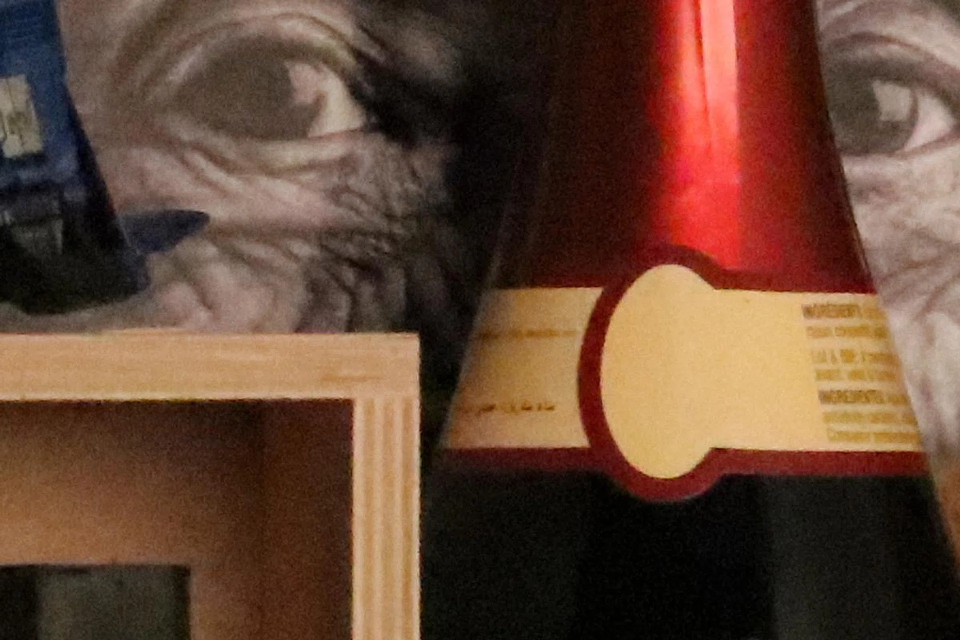100% crop (EOS 80D at ISO 12800)
