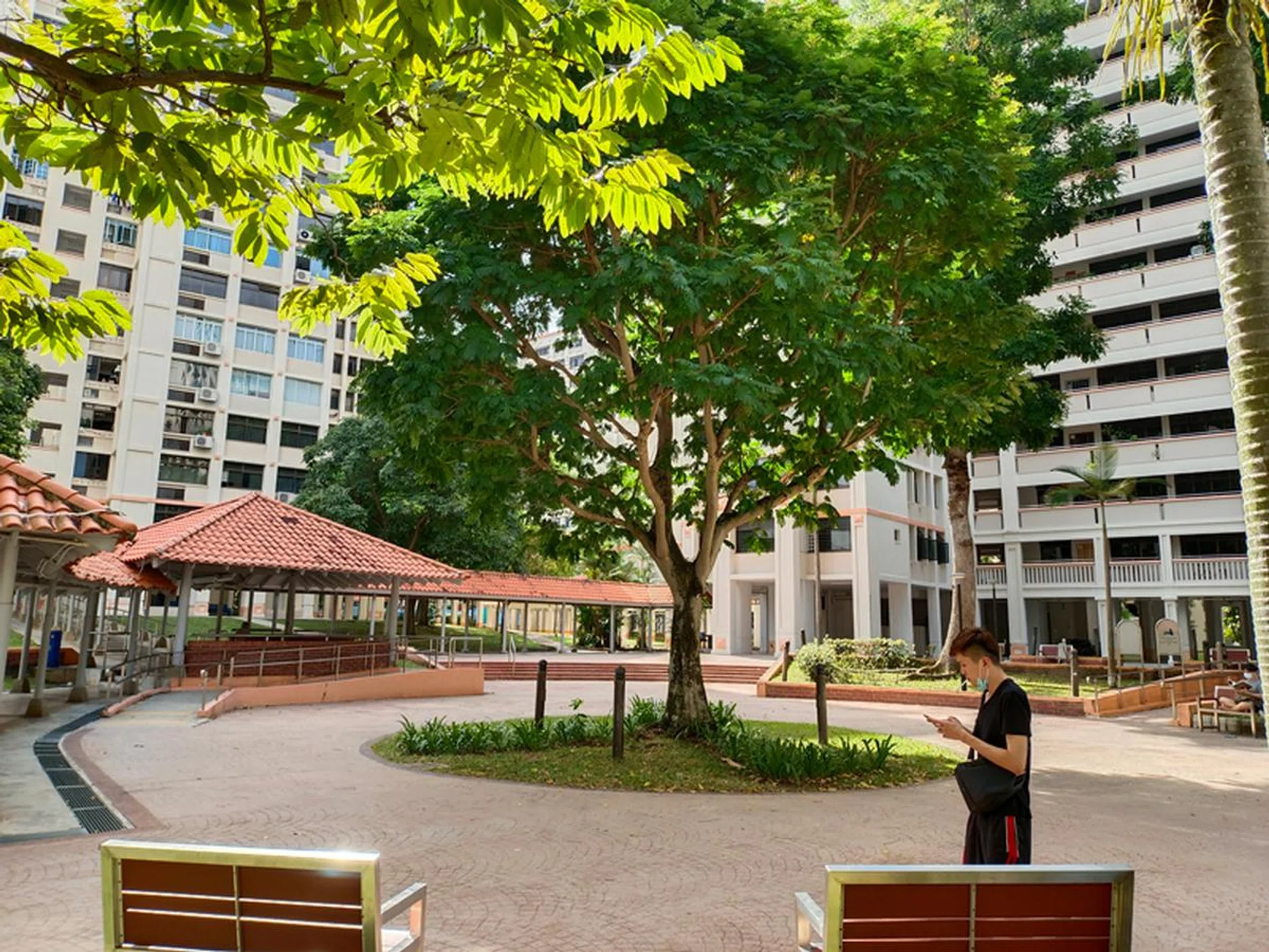 Main camera, no zoom.