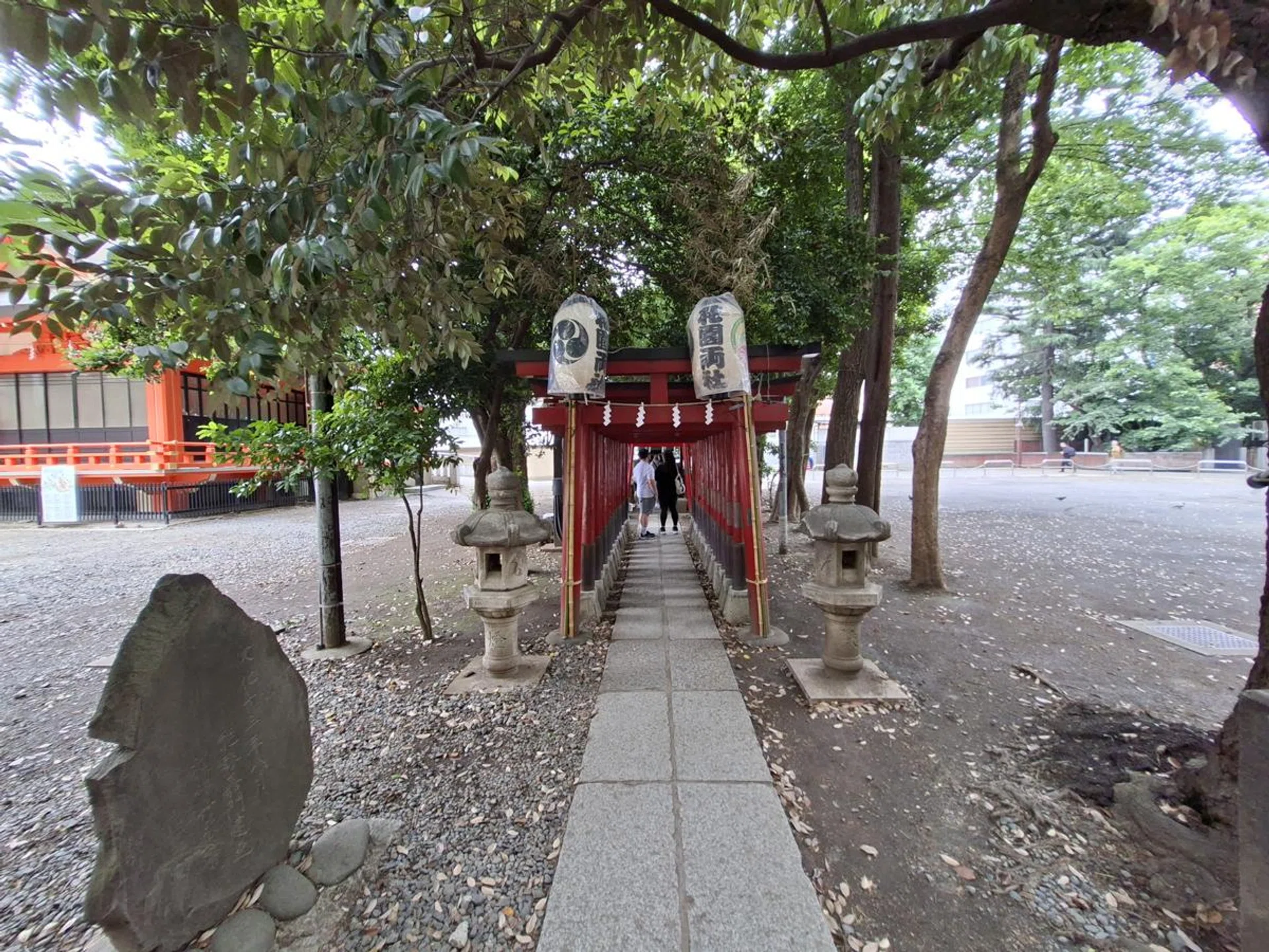 Ultrawide camera. Photo: HWZ.