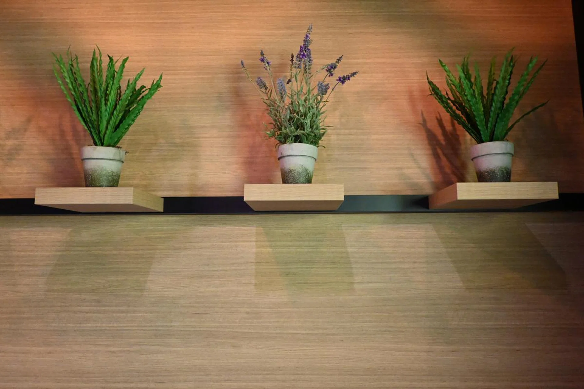 1/125s, ISO 6400, f/5.6, 18mm. Click for the original resolution.