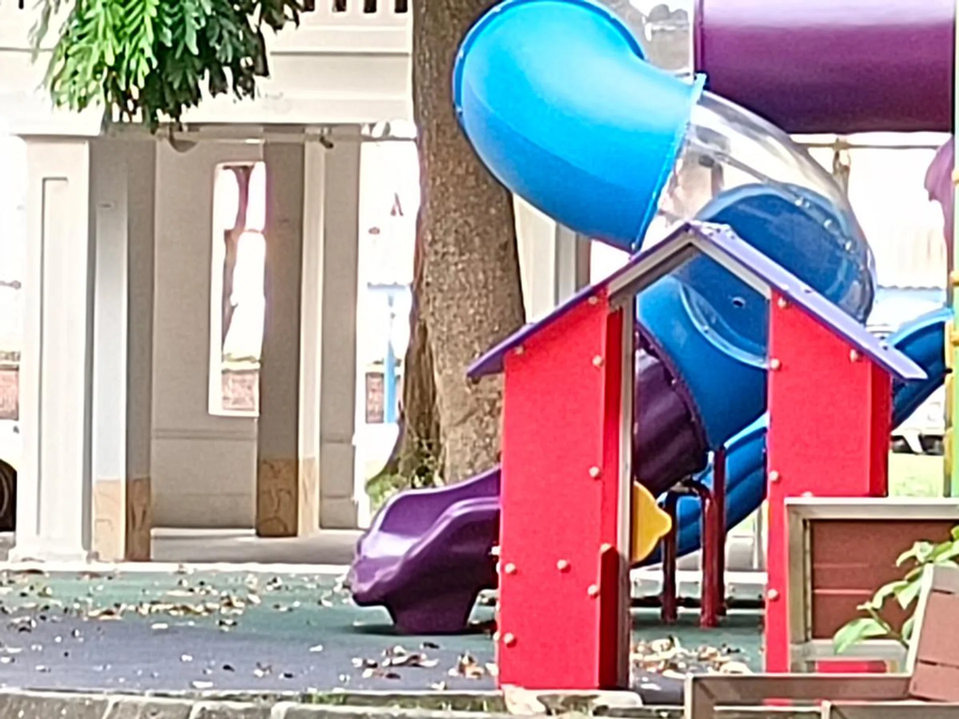 Main camera, 10x zoom (max).