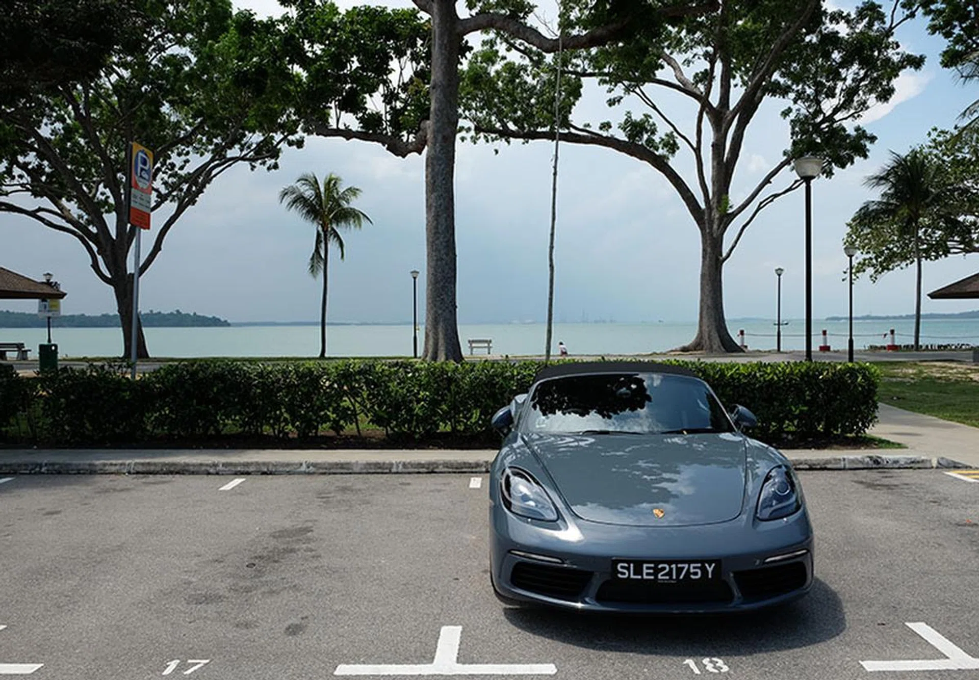 Soaking in the sunshine.