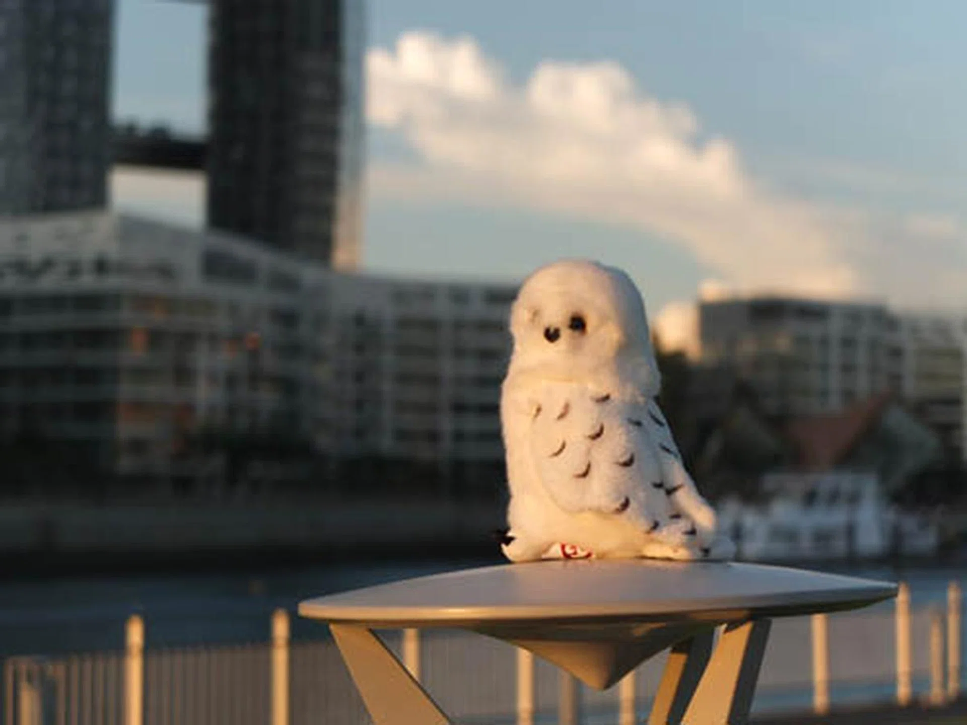 f/2.8 at 112mm (35mm equivalent), 1/1000 sec, ISO100. Shot at the longest range and the widest aperture setting available.