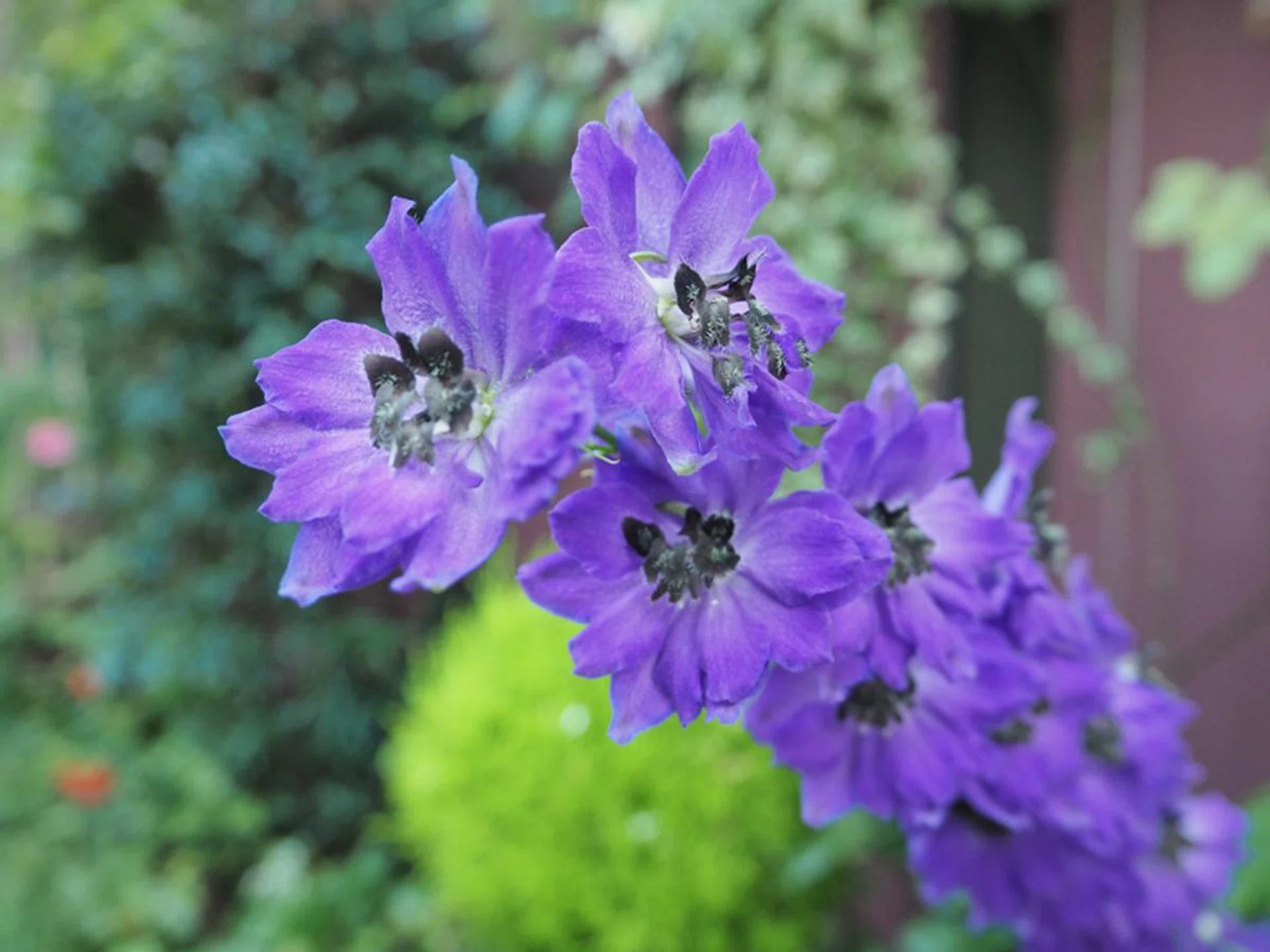 f/3.6 at 15mm, 1/60 sec, ISO 800.