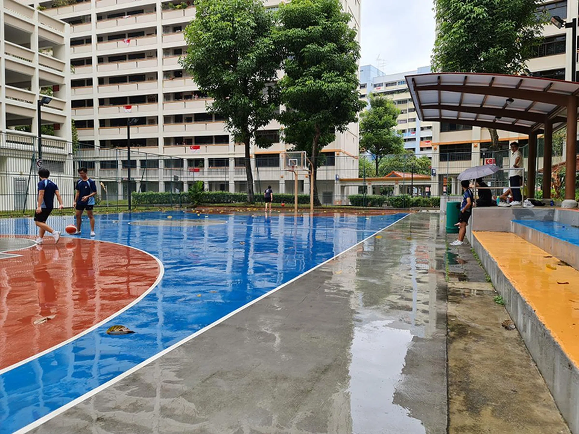 12MP Wide-Angle Camera (main), no zoom.