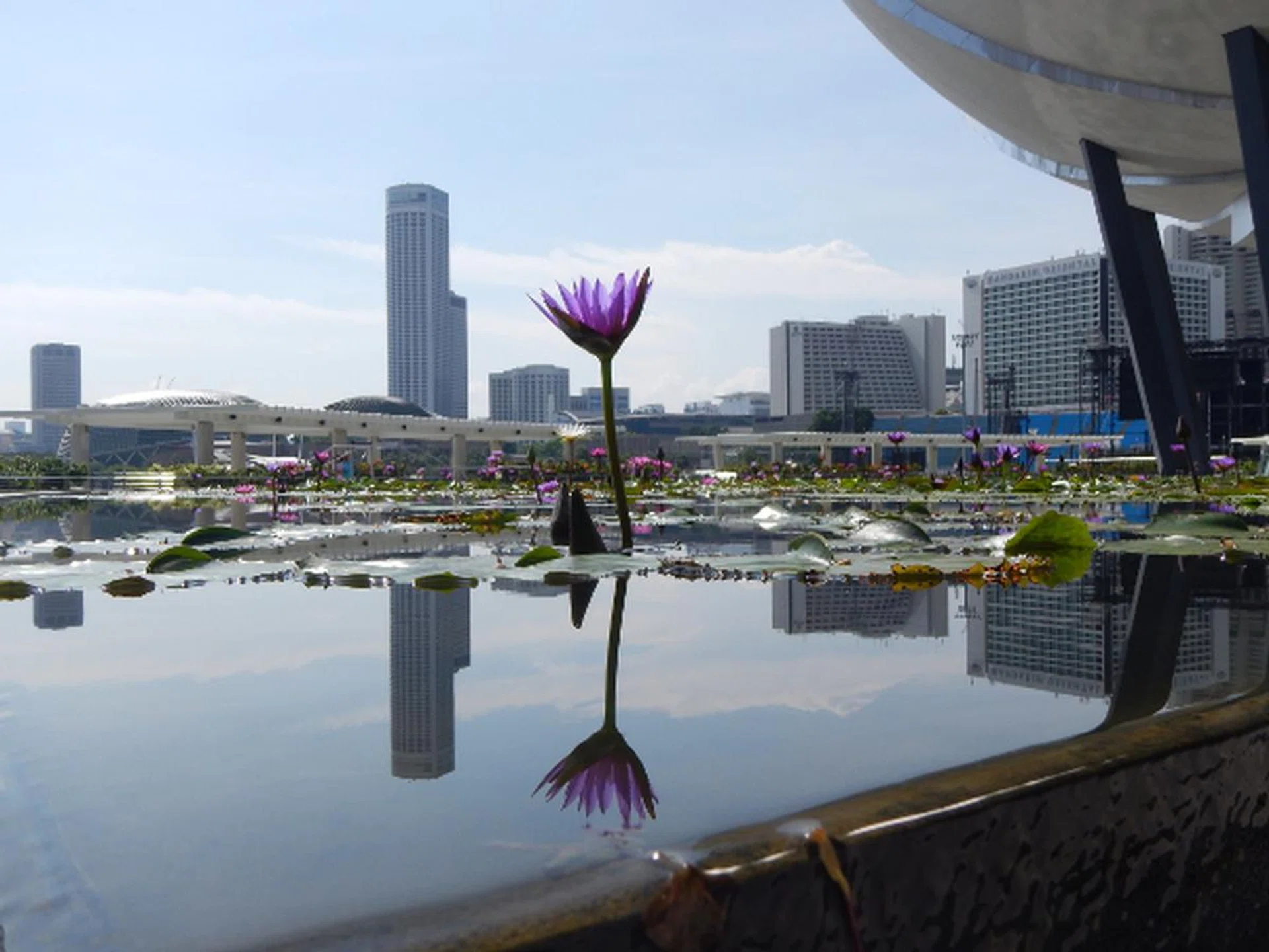 f/7.9 at 36mm, 1/400sec, ISO125