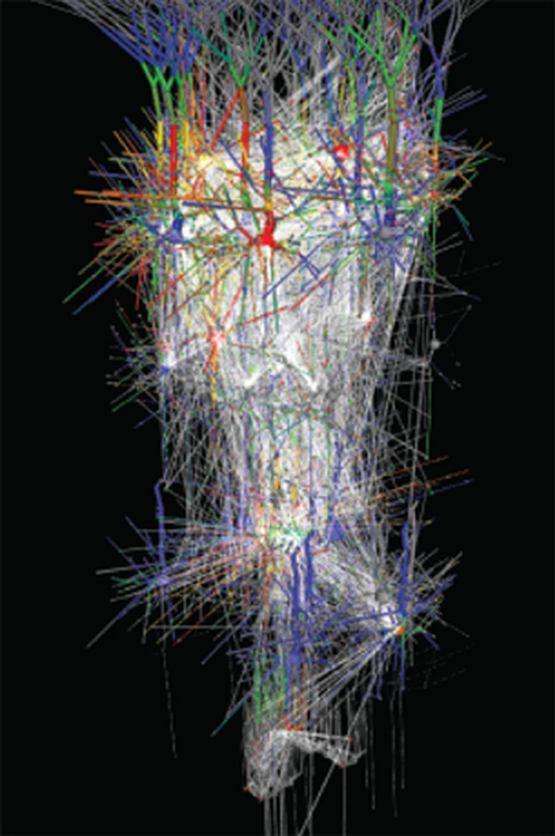 The human brain is exceedingly complex and a single neuron alone requires over 200 million differential equations to simulate. We can speed these calculations up immensely with the help of GPUs. Source: Desktop Engineering