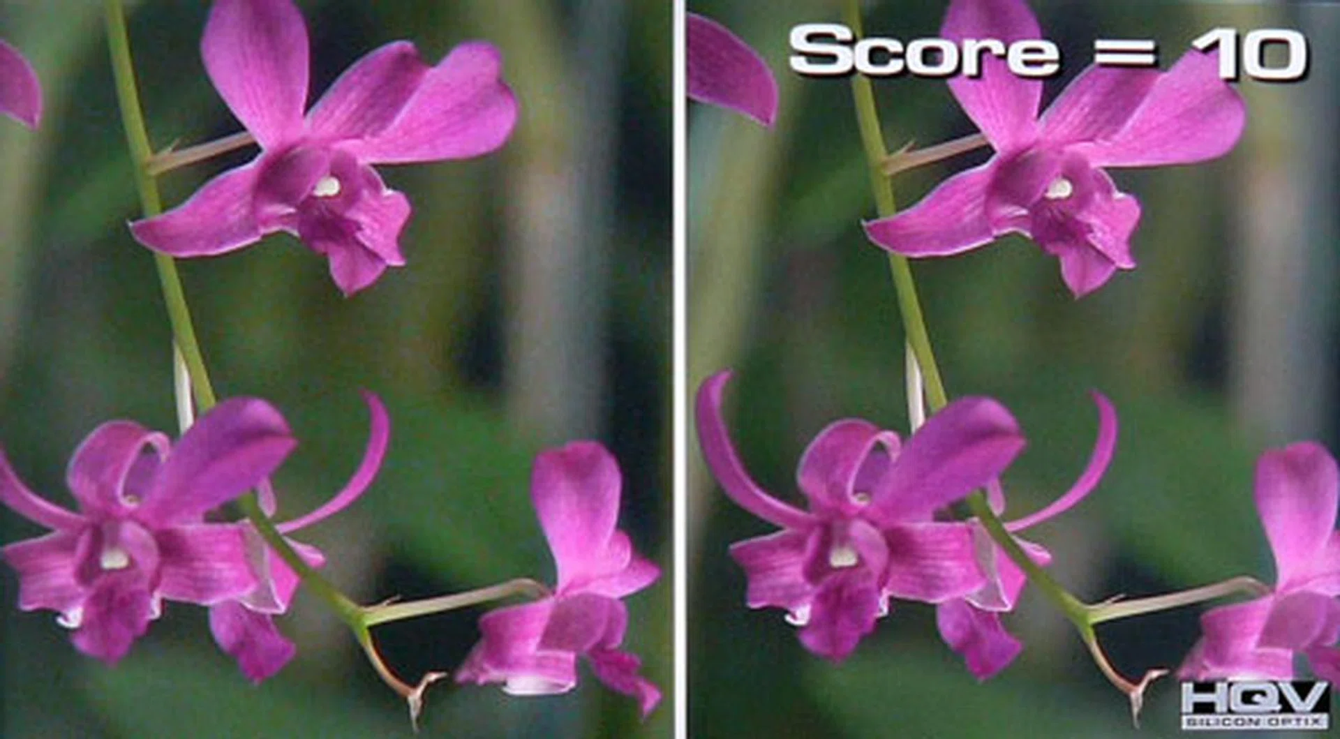 HQV's HD Noise Reduction Test - Samsung's noise filter impressed with an image that's almost rid of noise grains, such as the sample image on the right, Some degrees of picture detail were sacrificed as a result though when the Digital Noise Filter was pumped to High. 