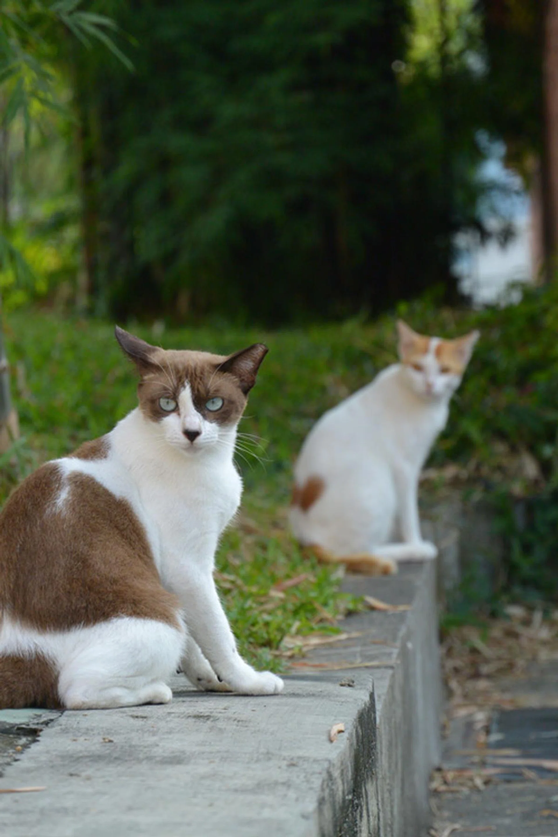 f/4.8 at 193mm (in 35mm equivalent), 1/250 sec, ISO 160.