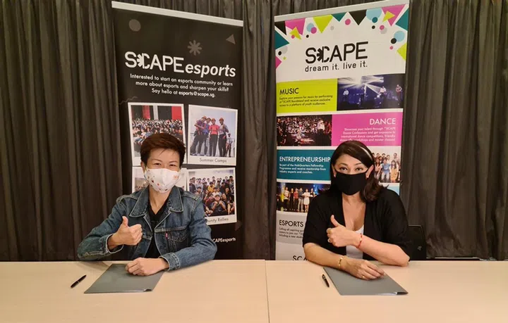 Image: *Scape, Twitch