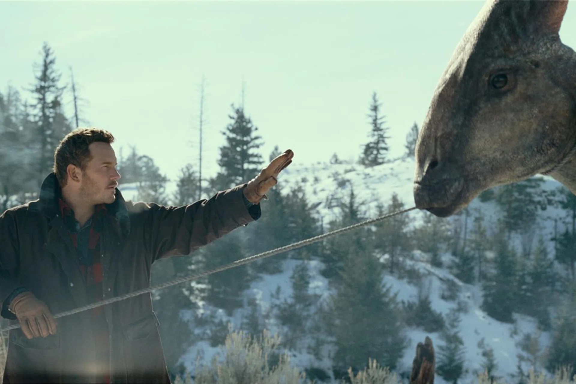 Image: Universal Pictures, Amblin Entertainment