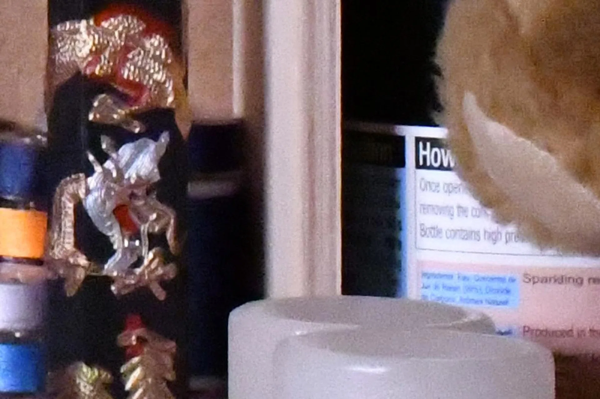 100% crop (D500)