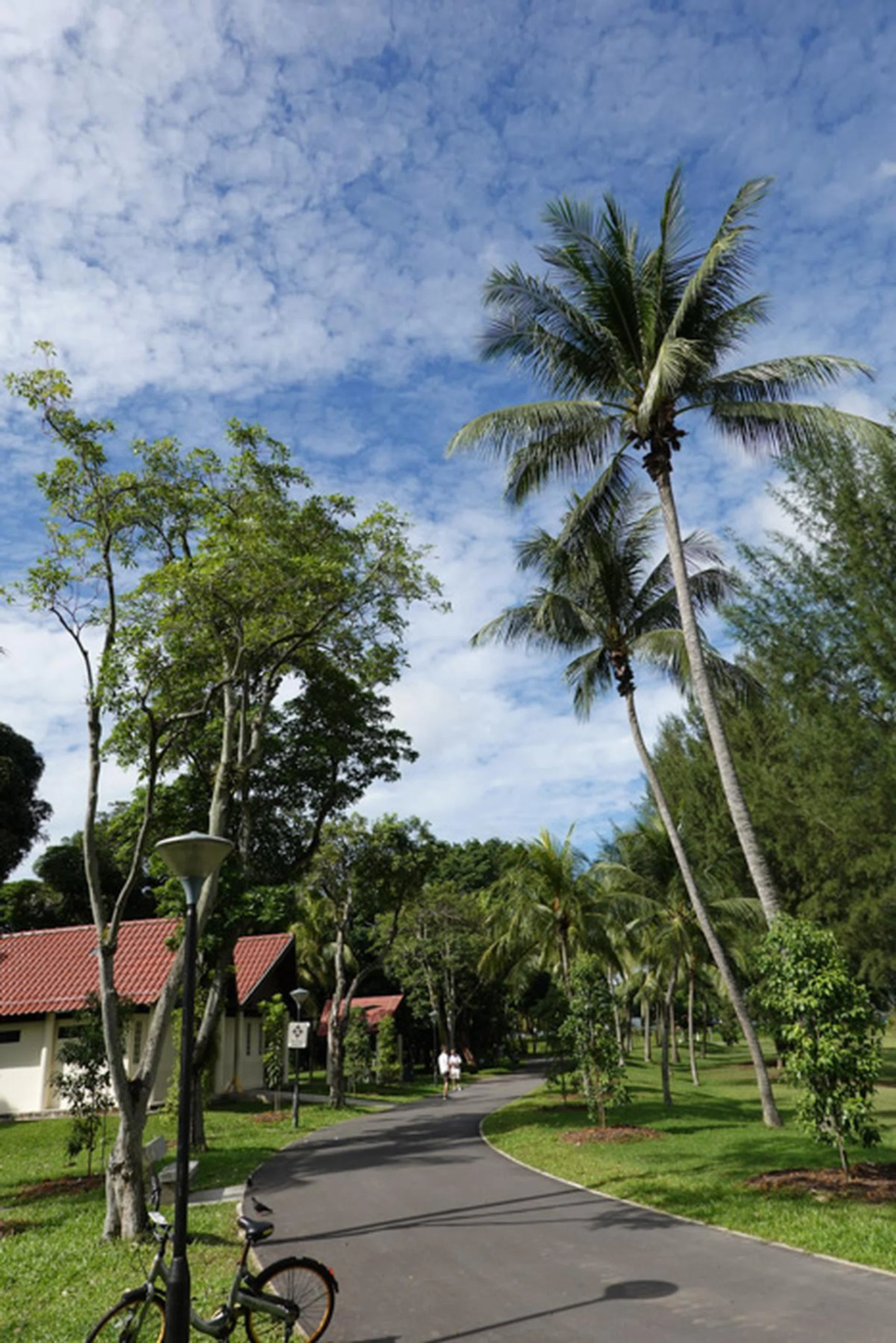 24mm at f/4.0, 1/1000s, ISO125