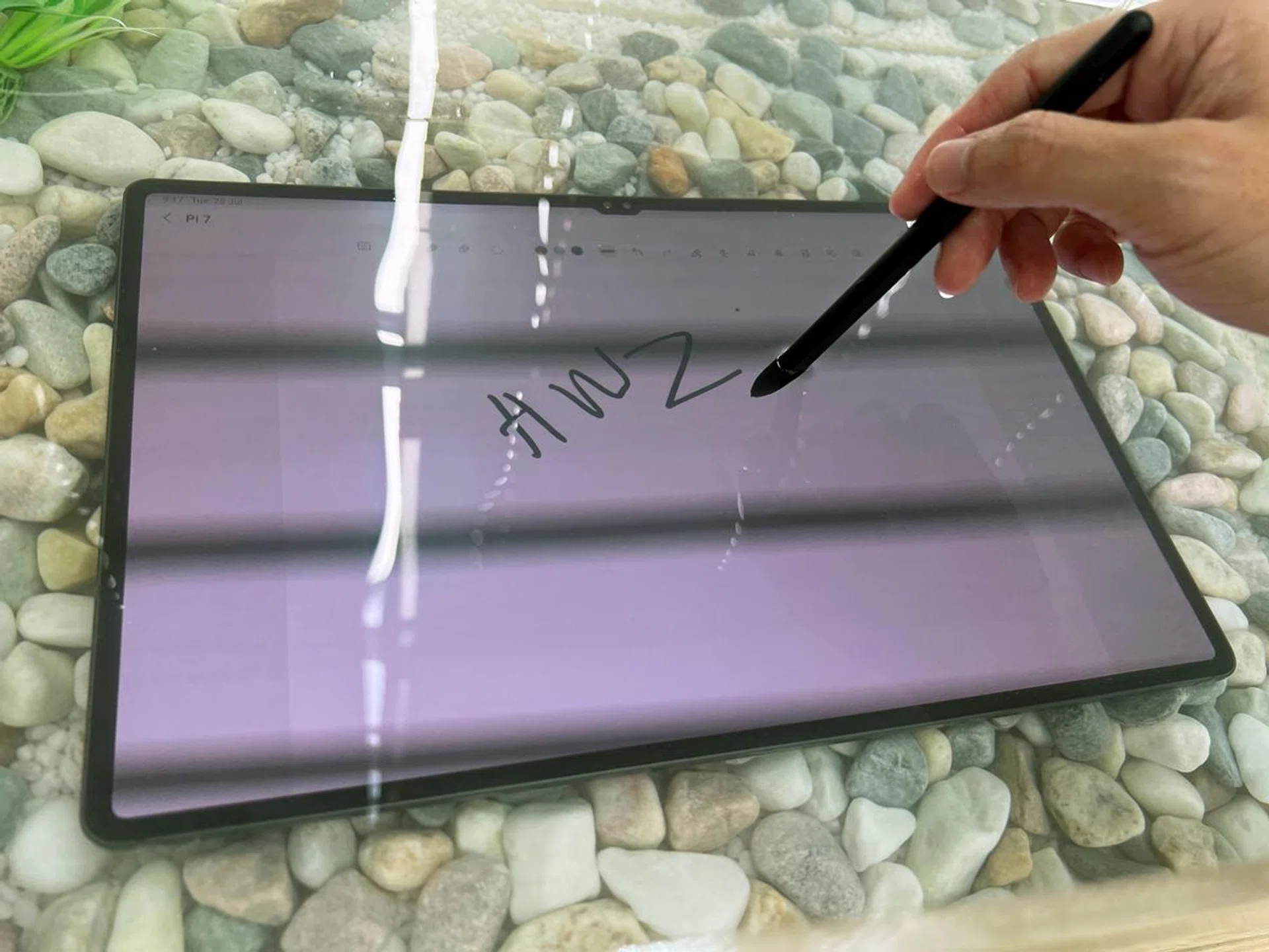 If you like being wet, the Galaxy Tab S9 series and its S Pen can keep up with you. This fish tank had no qualms about how wet Tab S9 Ultra should be.