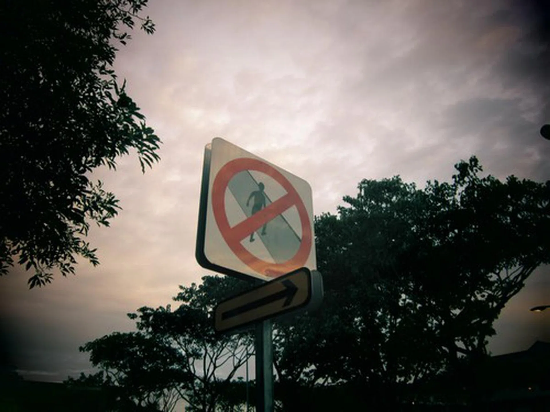 The Toy Camera effect makes even the innocuous look dramatic.