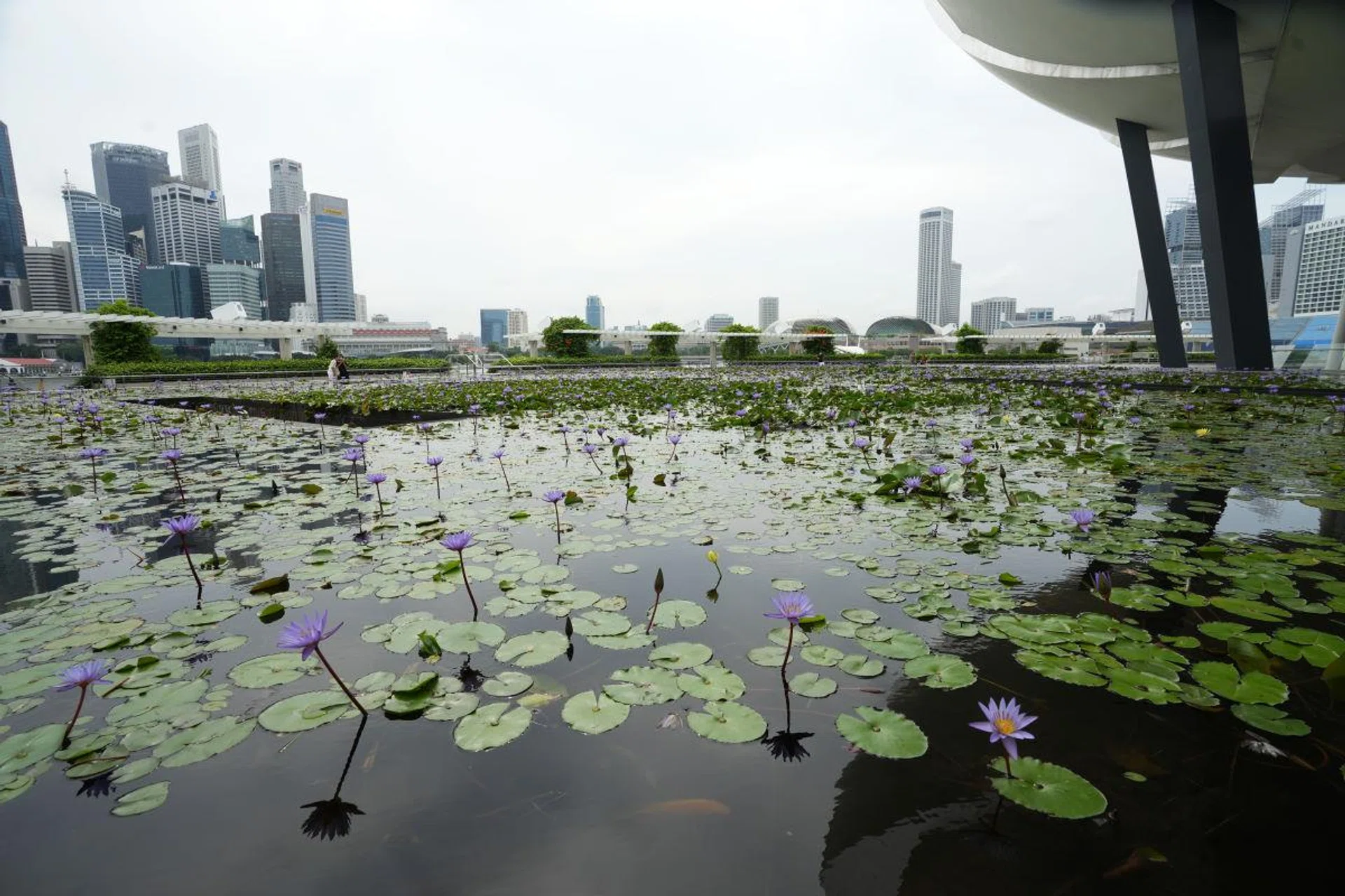16mm at f/8, 1/640s, ISO 400