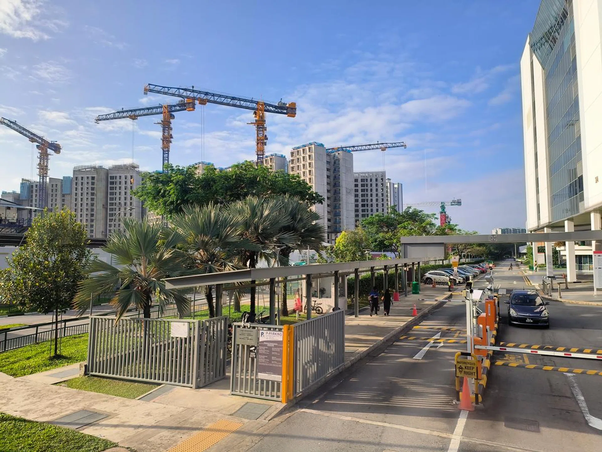 Main camera (50MP, output at 12.5MP).