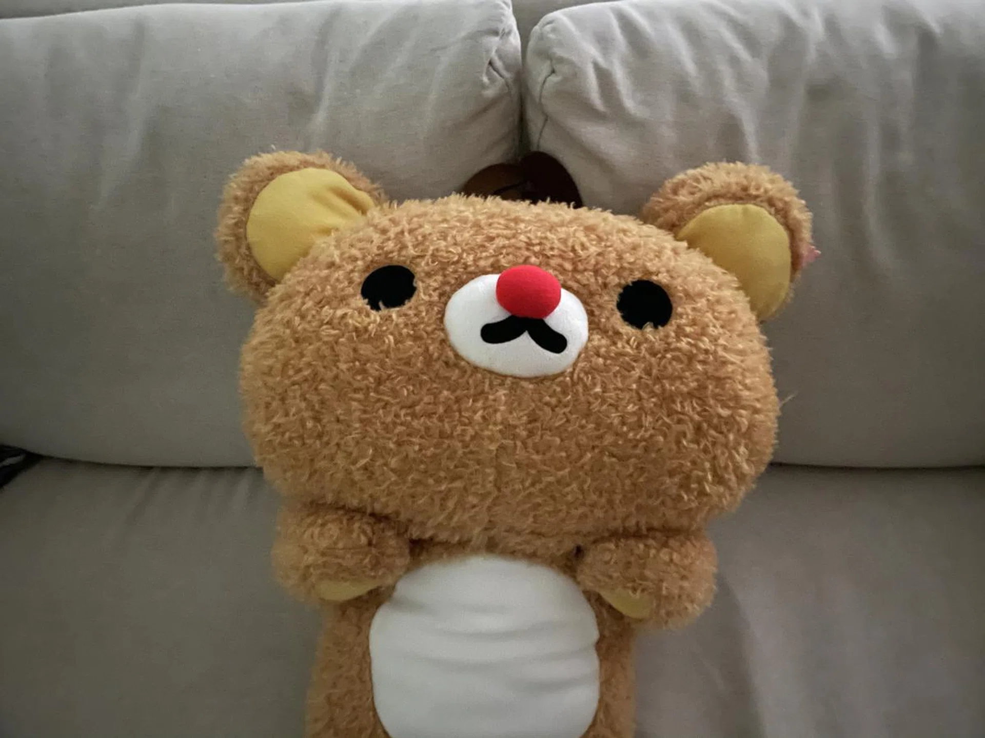 Image 5A. Click to see full image.