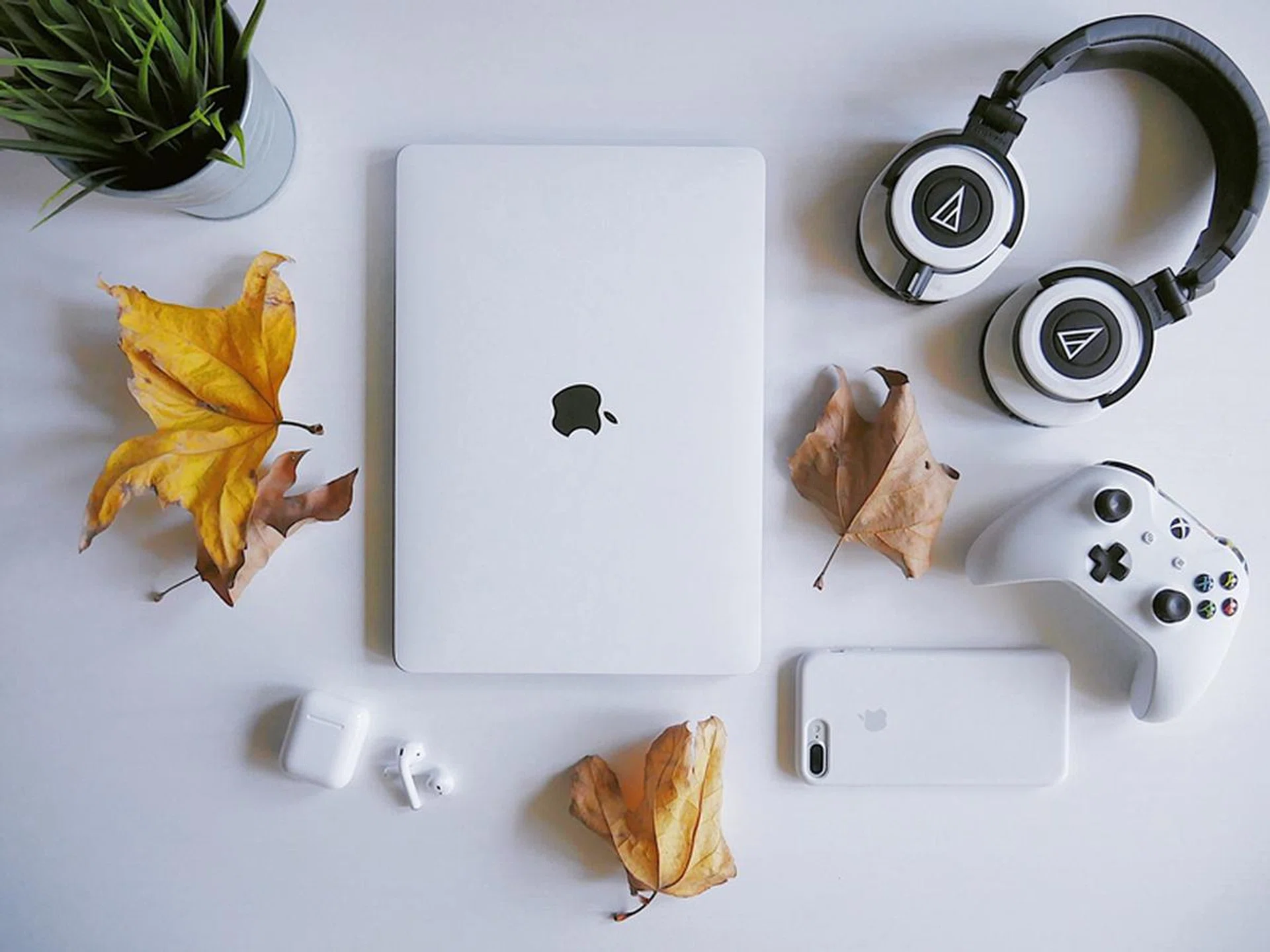 Image: Unsplash