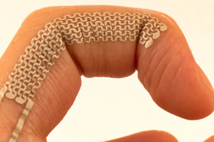 (Image source: New Scientist)