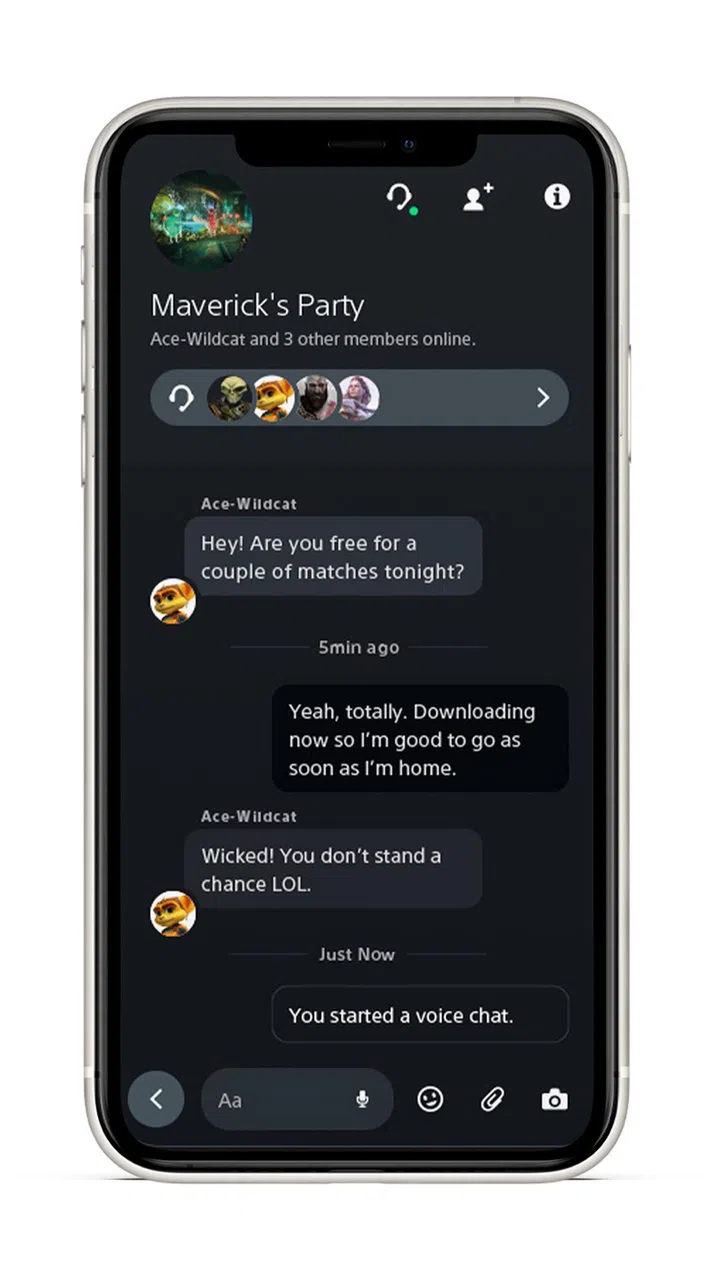 Voice Chat and Party Groups.
