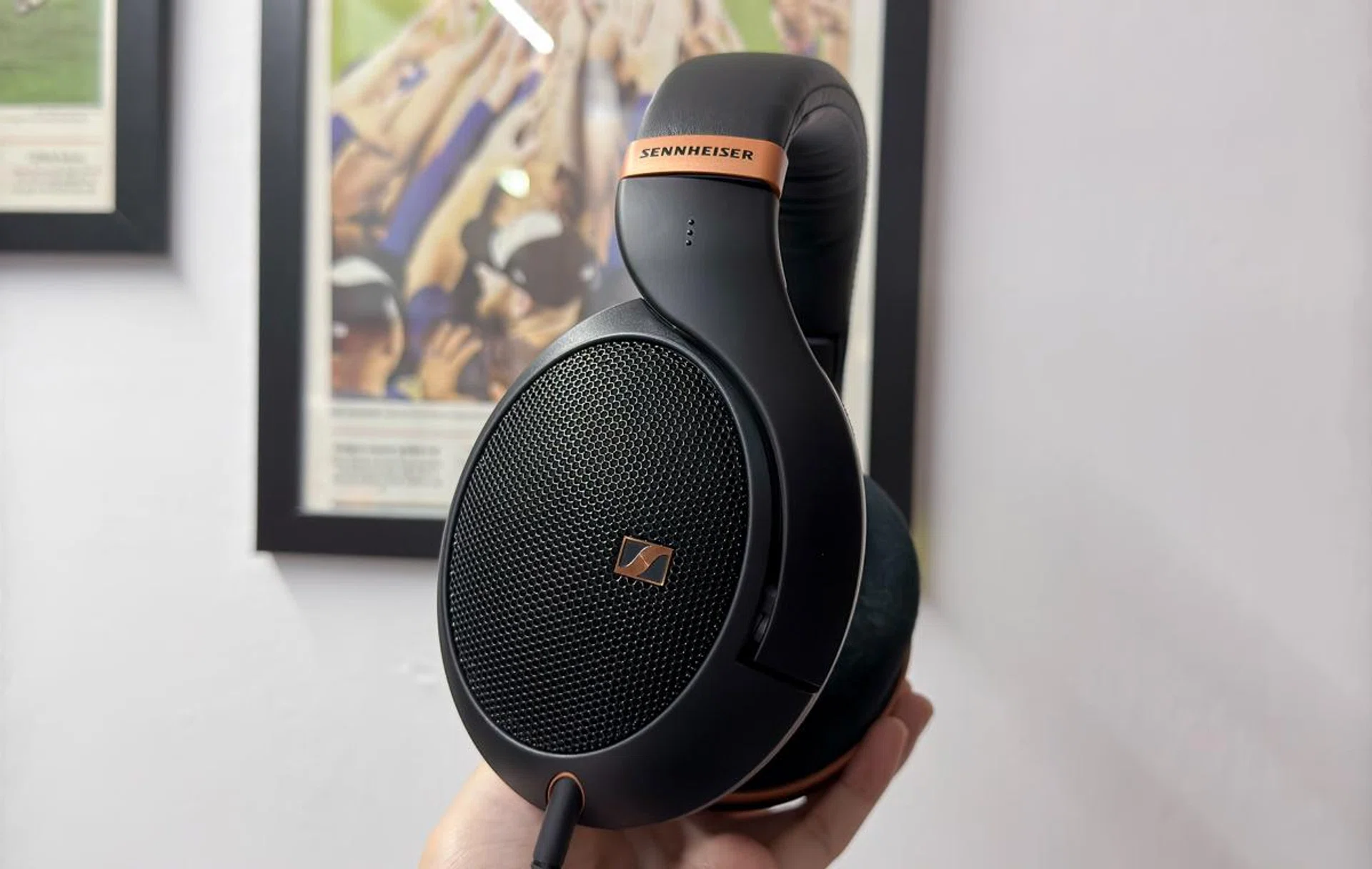 Sennheiser HD 505 Copper Edition. Photo: HWZ.