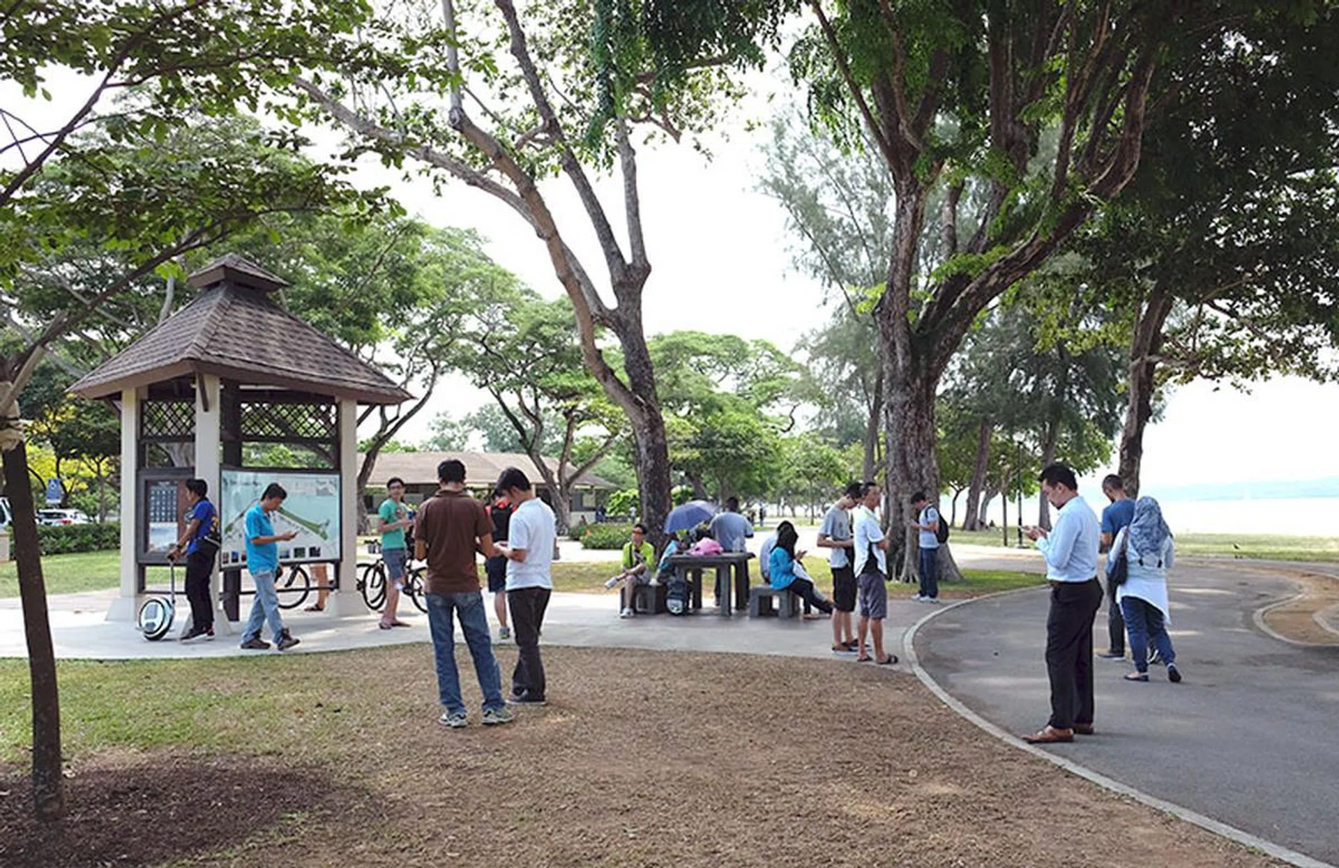 No shortage of Pokémon trainers at Changi Beach.