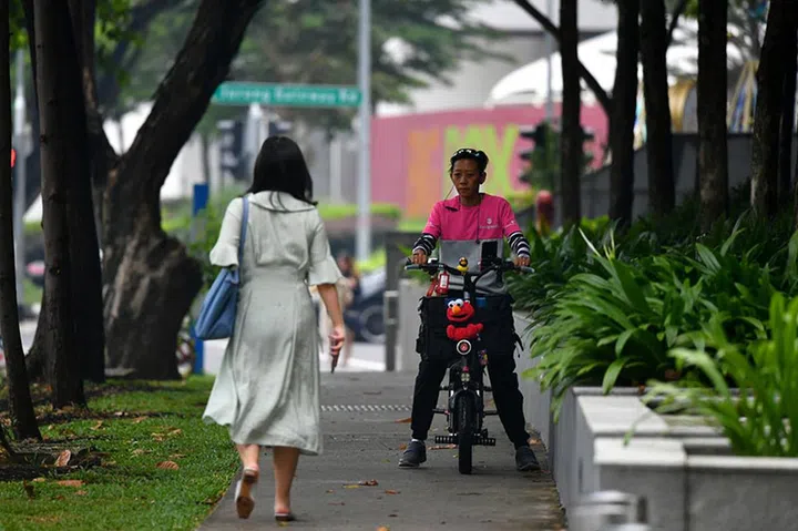 Image Source: The Straits Times