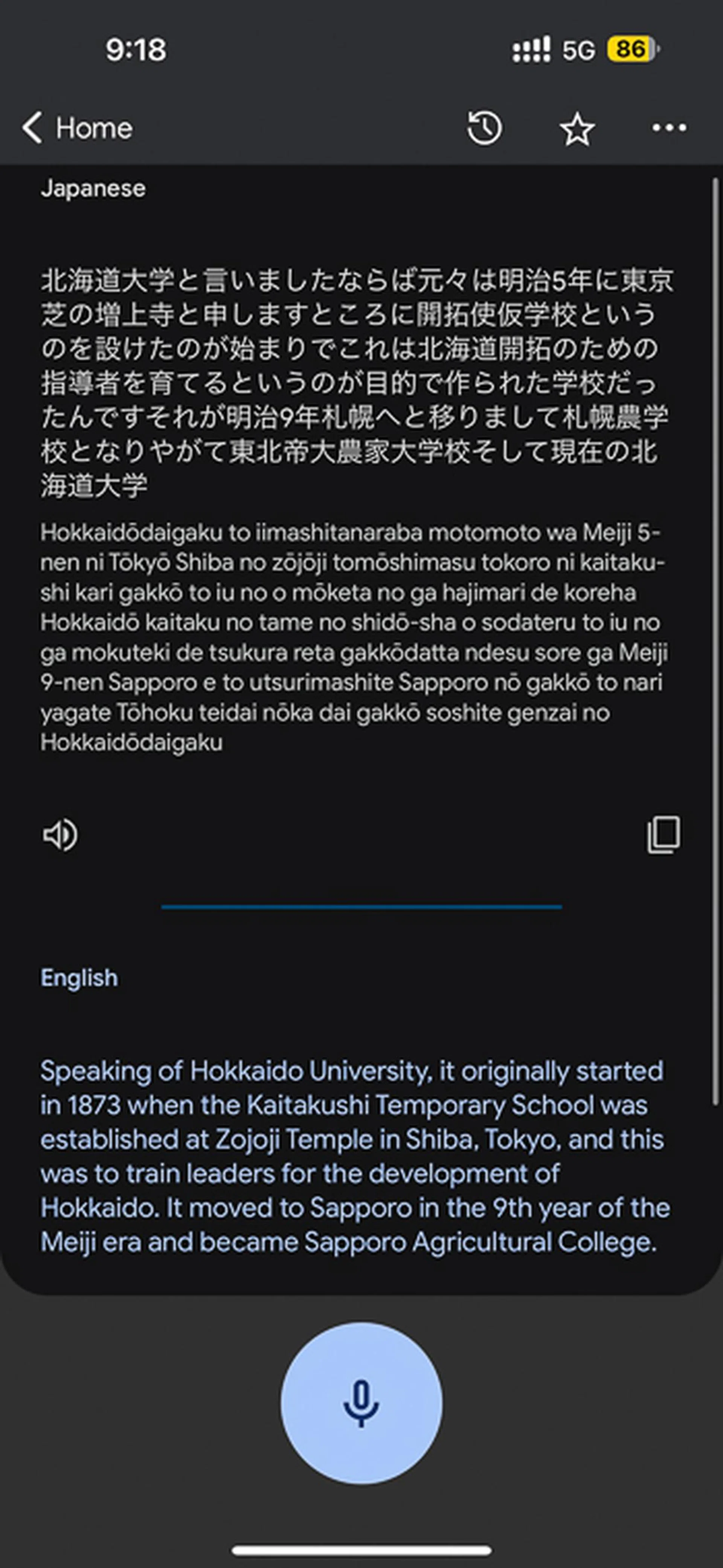 Google Translate.