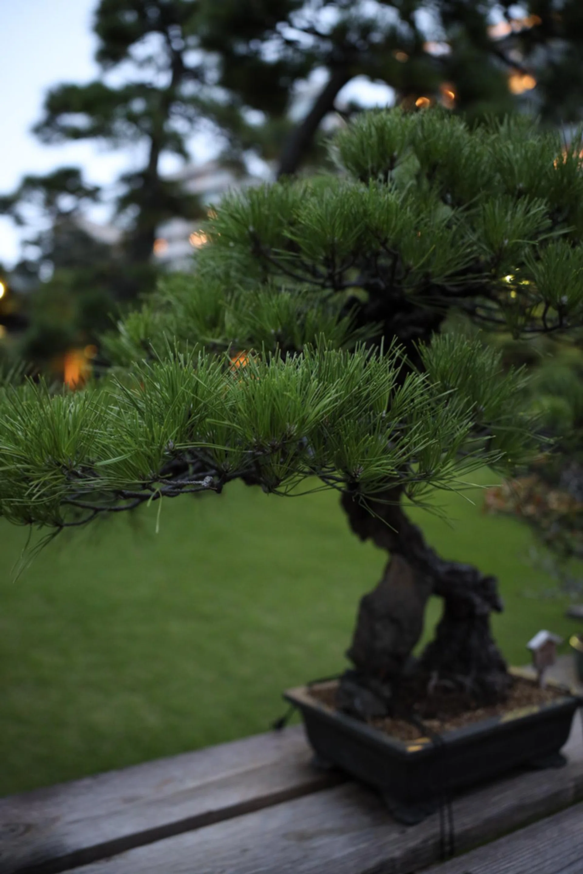 f/2 at 28mm, 1/60 sec, ISO 3200.