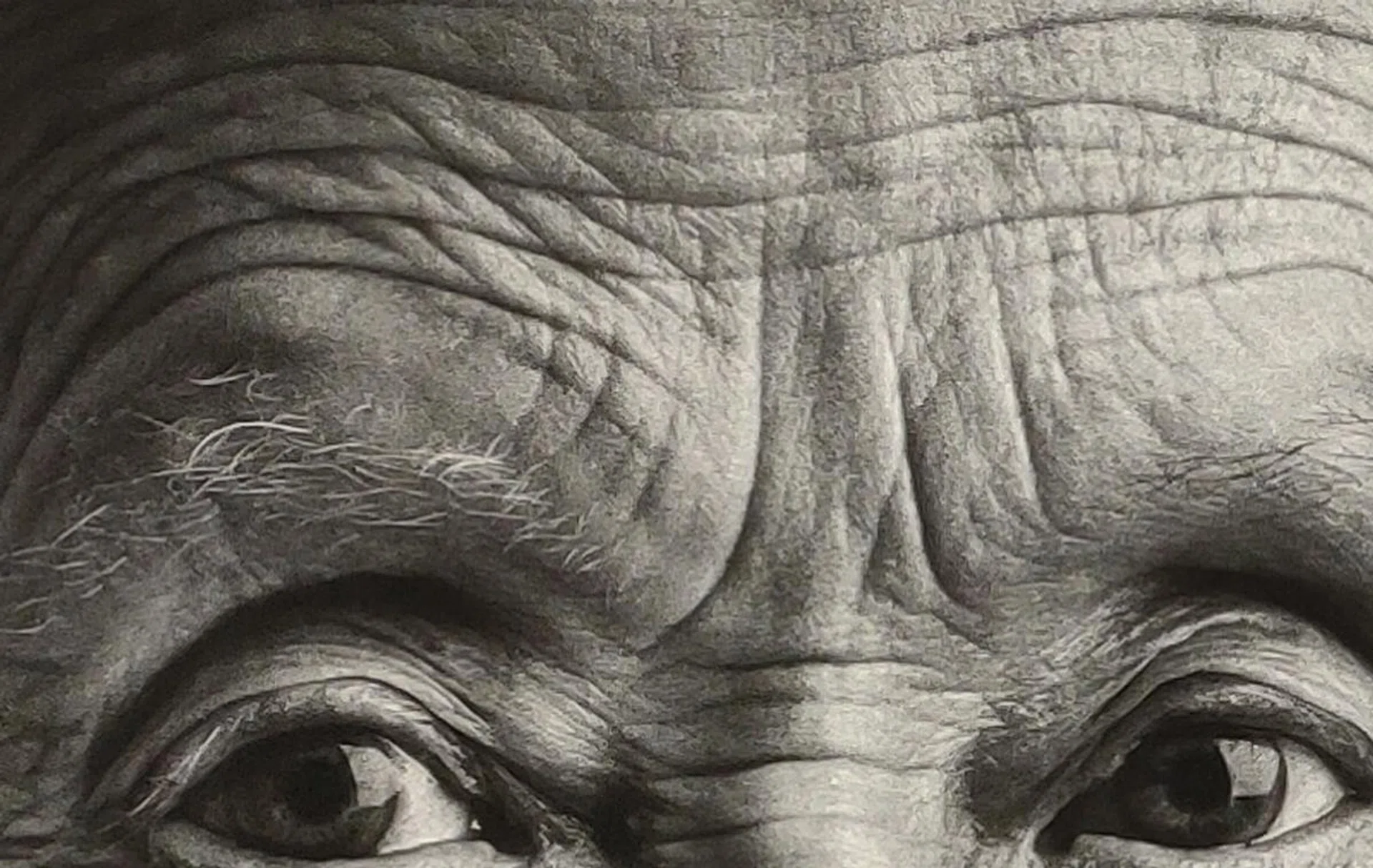 Reno studio capture- 100% crop.