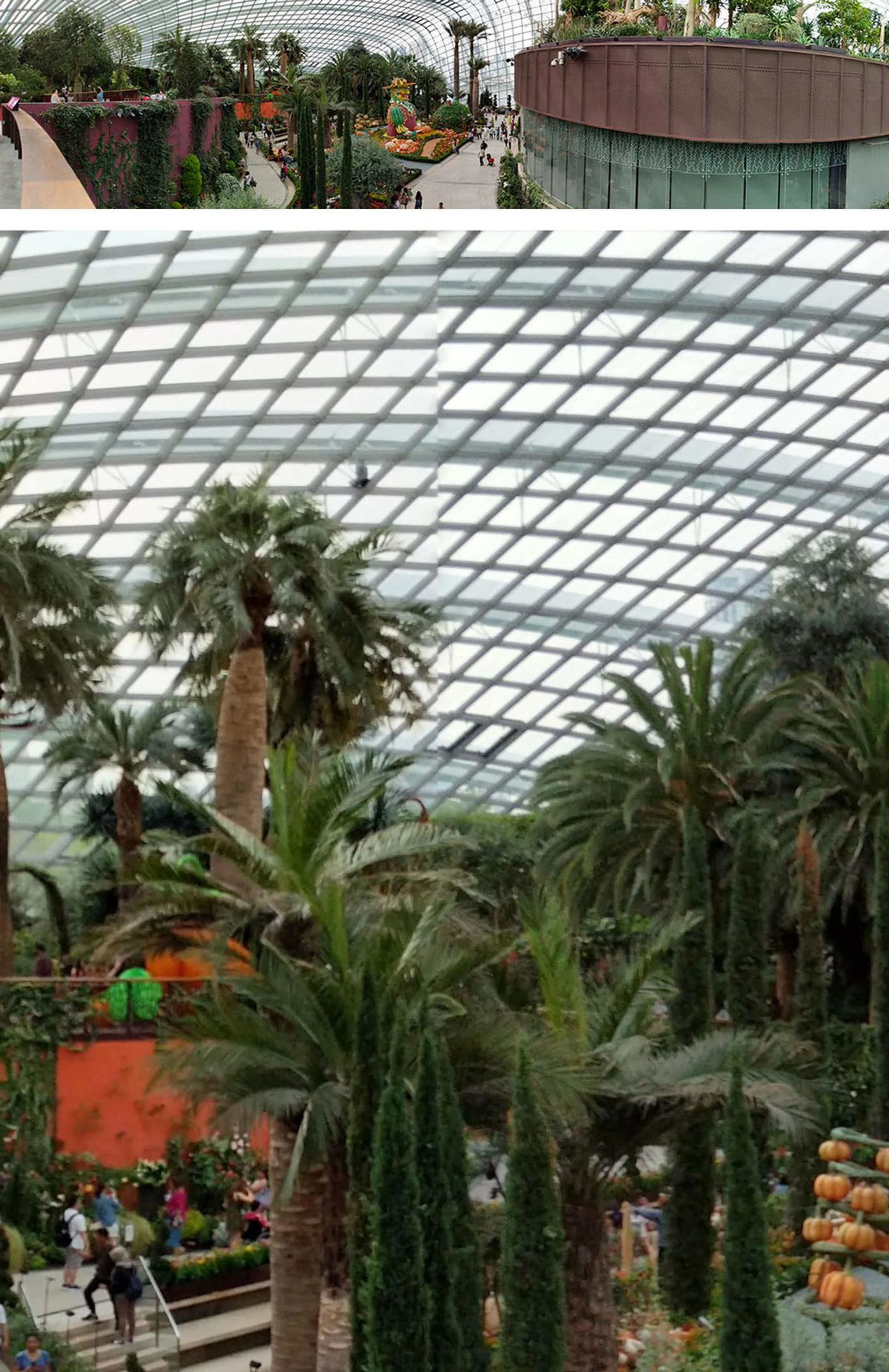 You can see some obvious edges in panoramas, like this one in the bottom 100% crop.