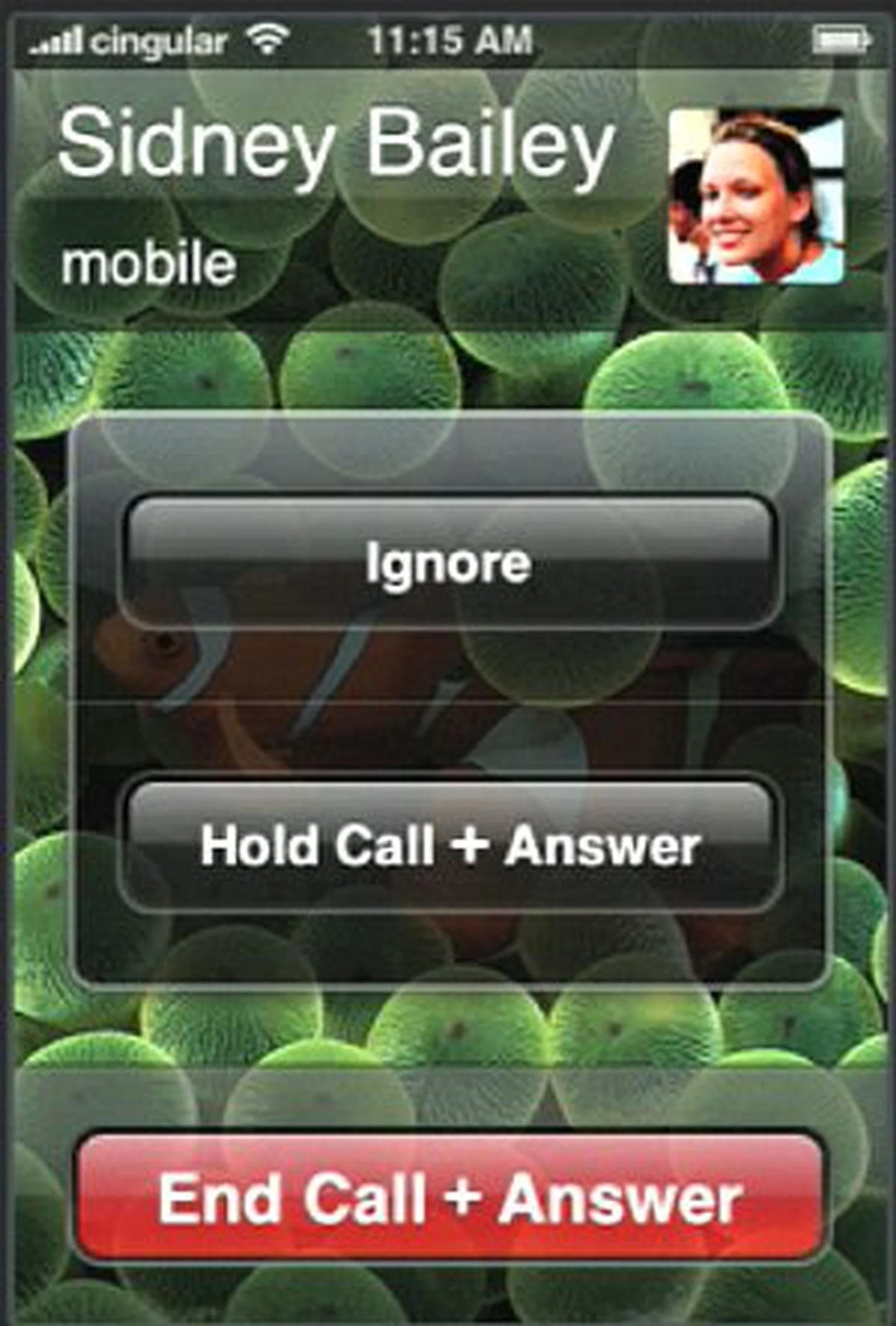 When another person calls while you are on the line, you can of course either ignore it by active means, hold the other call and answer it, or end the call to answer it.