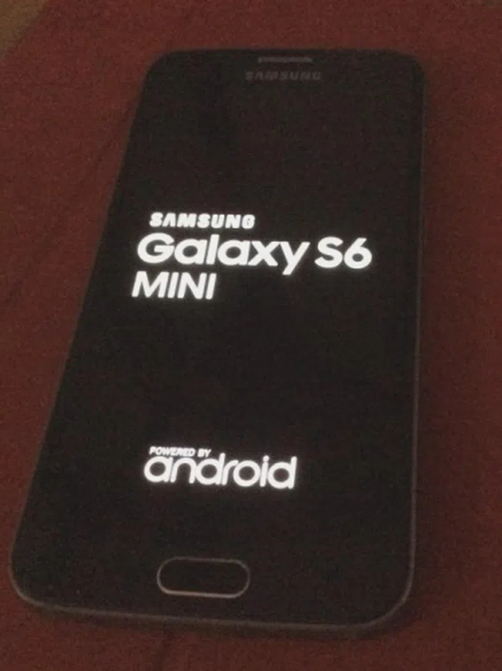 The alleged Samsung Galaxy S6 Mini. <br> Image source: PhoneArena
