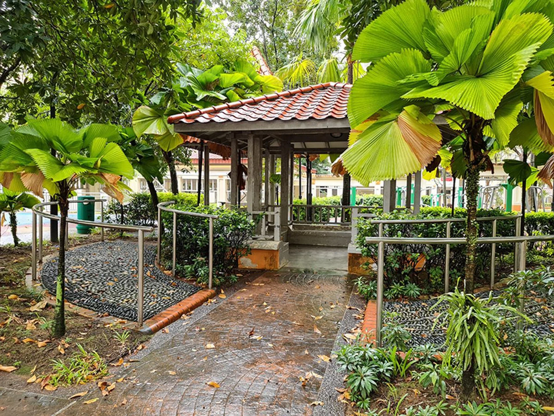 12MP Wide-Angle Camera (main), no zoom.