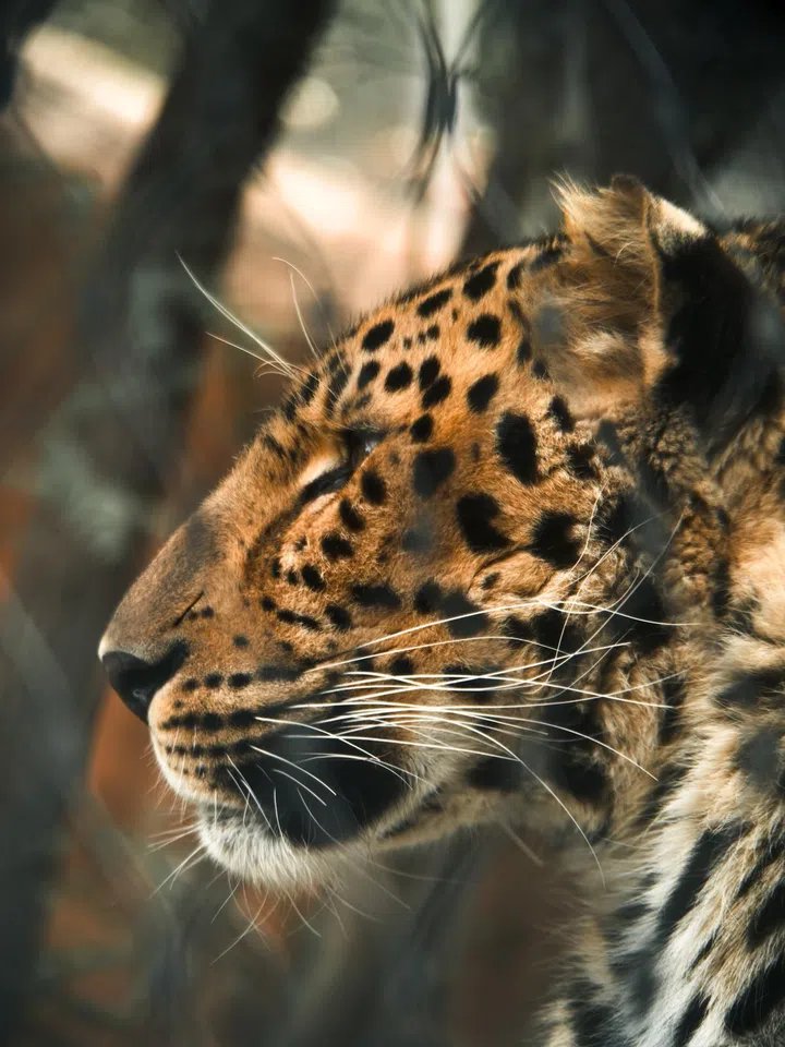 Another imaging sample taken using Sandmarc Telephoto 10x Lens for iPhone. Photo: Sandmarc.