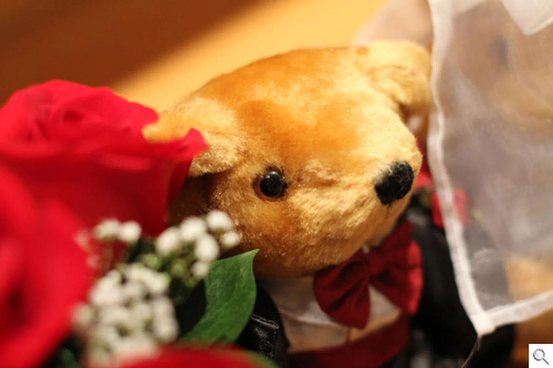 Taken on Manual, ISO1600, F2.2, 1/125 sec. Click on the image for the full resolution.