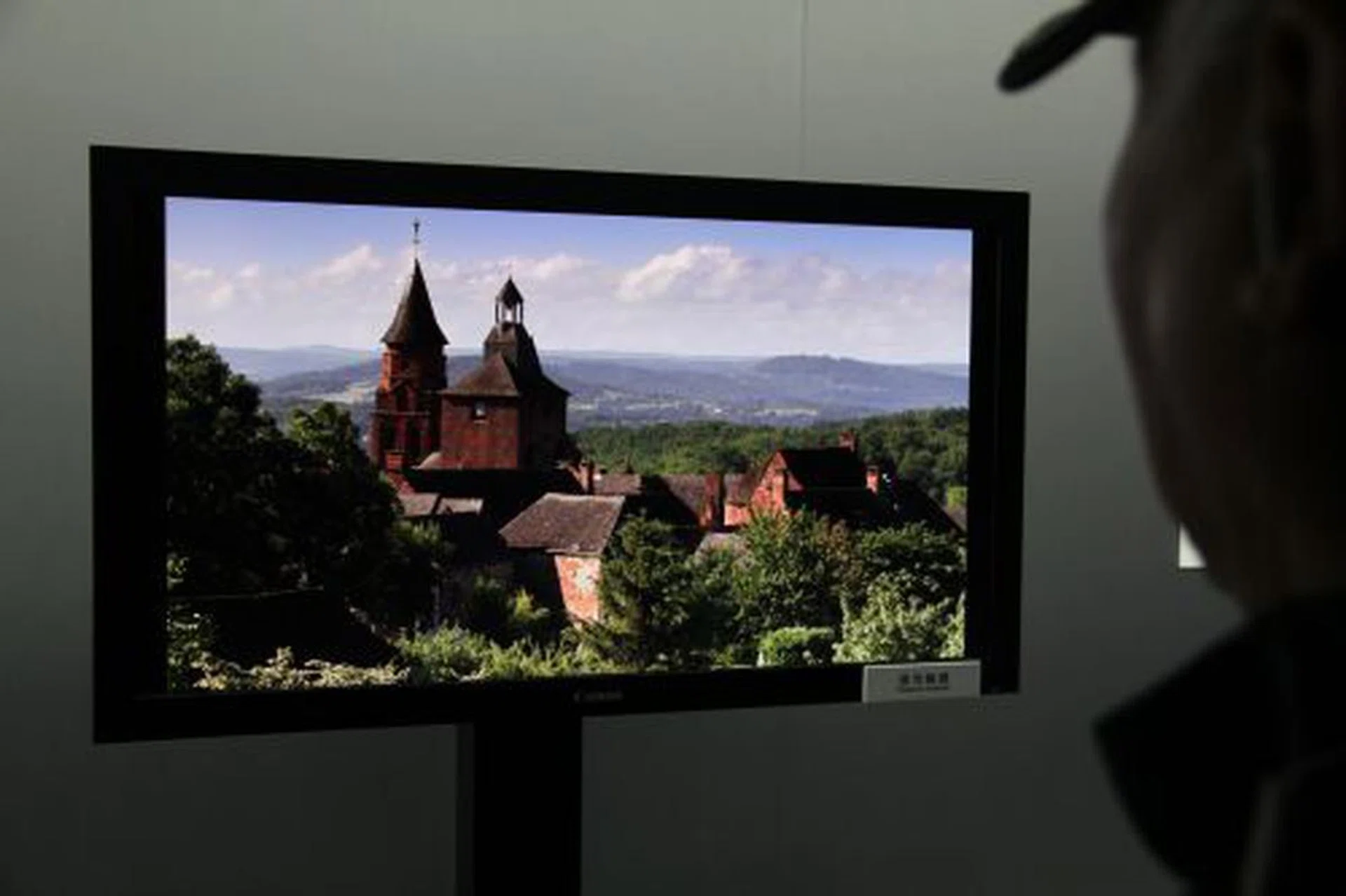 Canon showed the 8-megapixel video and still images on a series of professional grade 30" monitors. The intent is for them to be eventually introduced in professional design industries. 