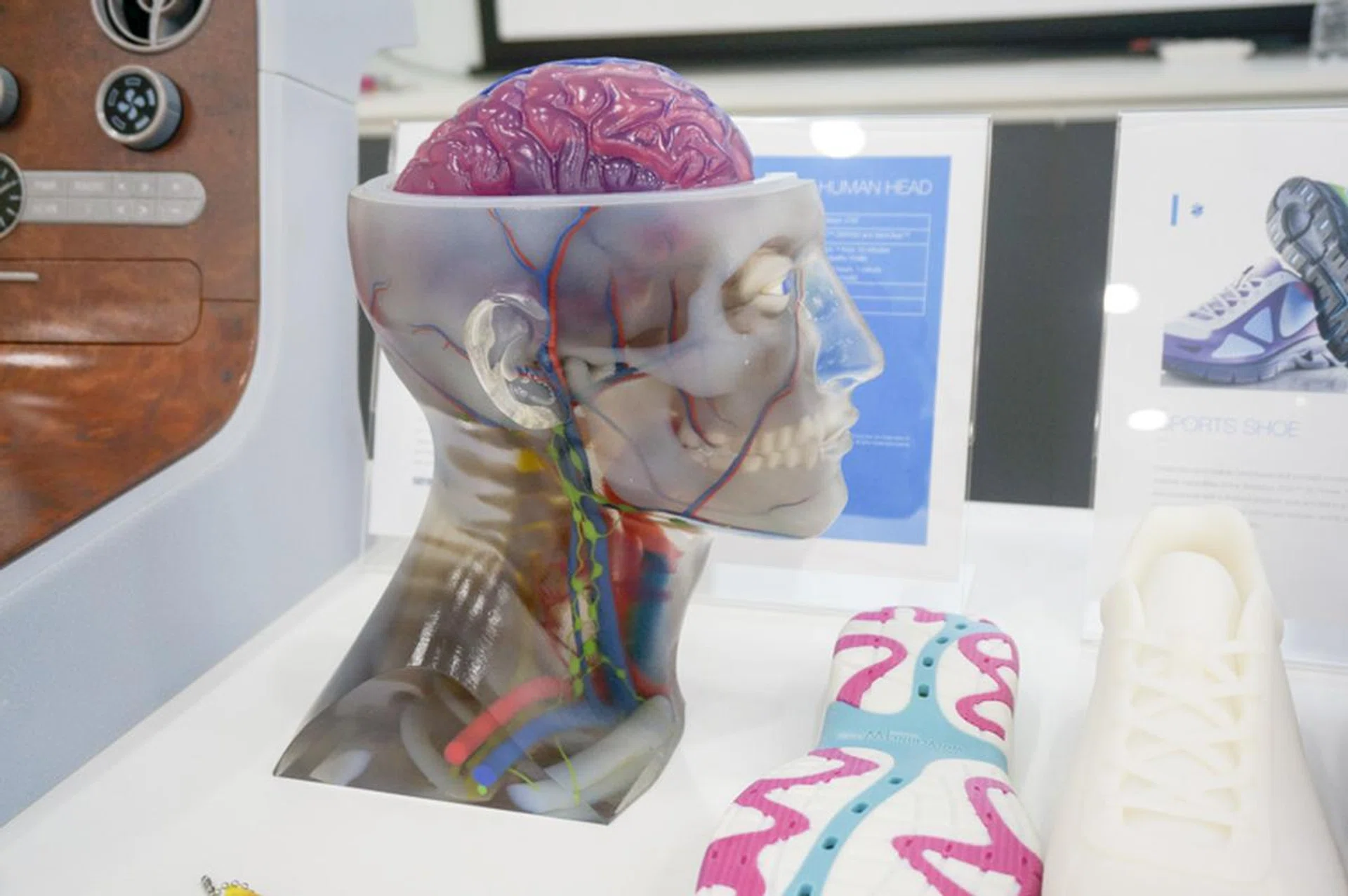 3D models can help medical professionals visualize and practice on a precise model of their patient's organs.
