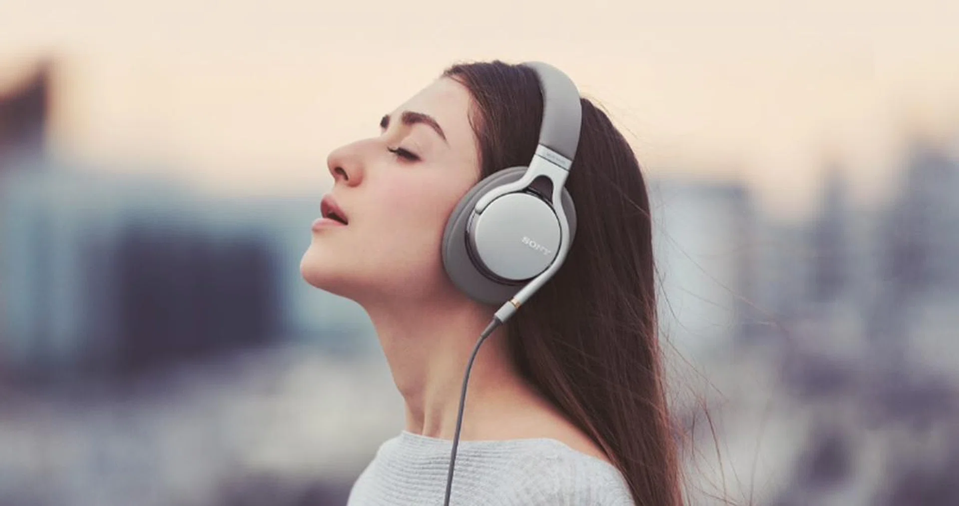I'm sure most will agree that the MDR-1AM2 is stylish. (Image source: Sony)