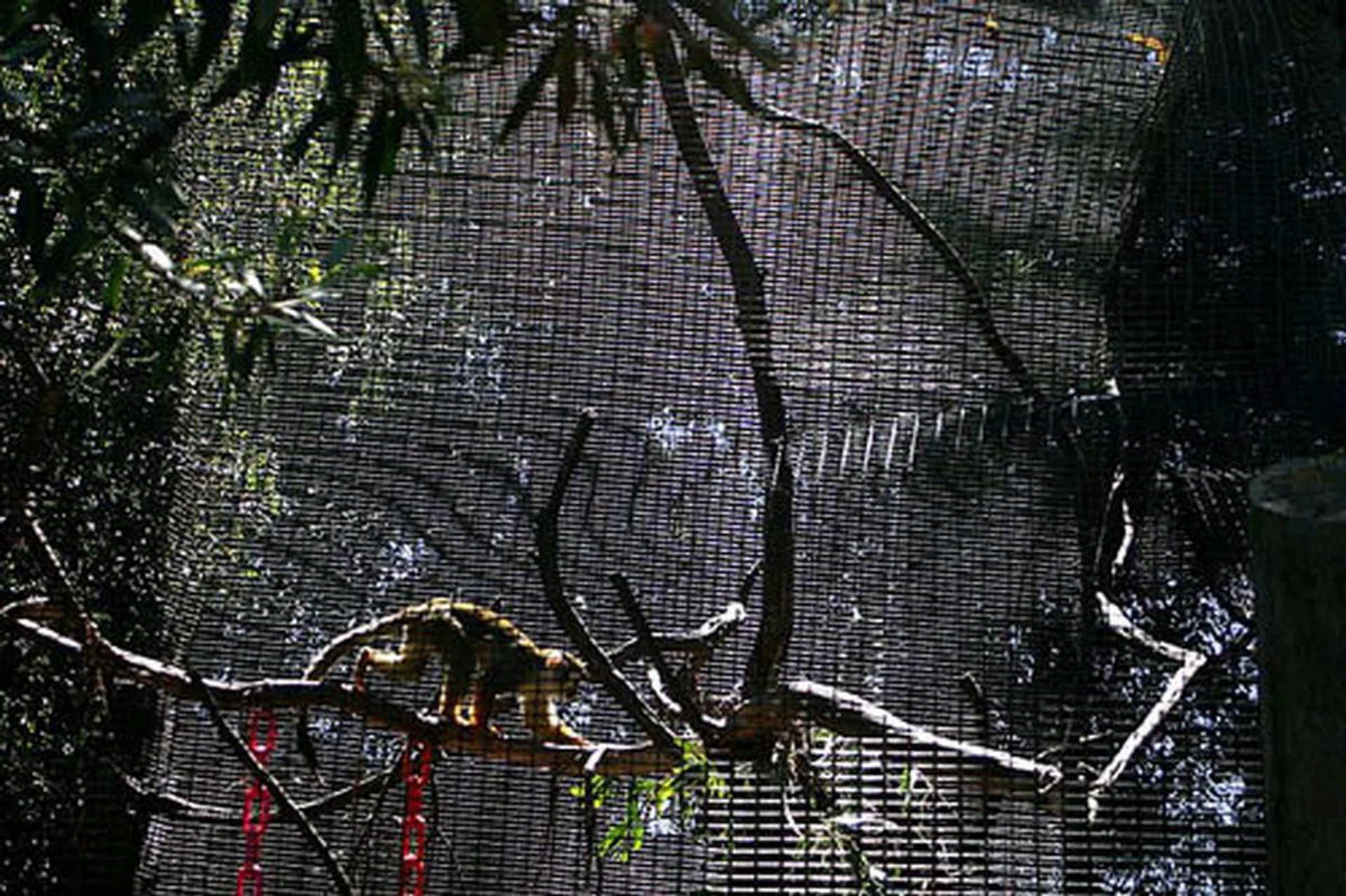 An example of a moiré pattern captured when photographing a repeating pattern. Image source: Mbz1, Wikipedia.