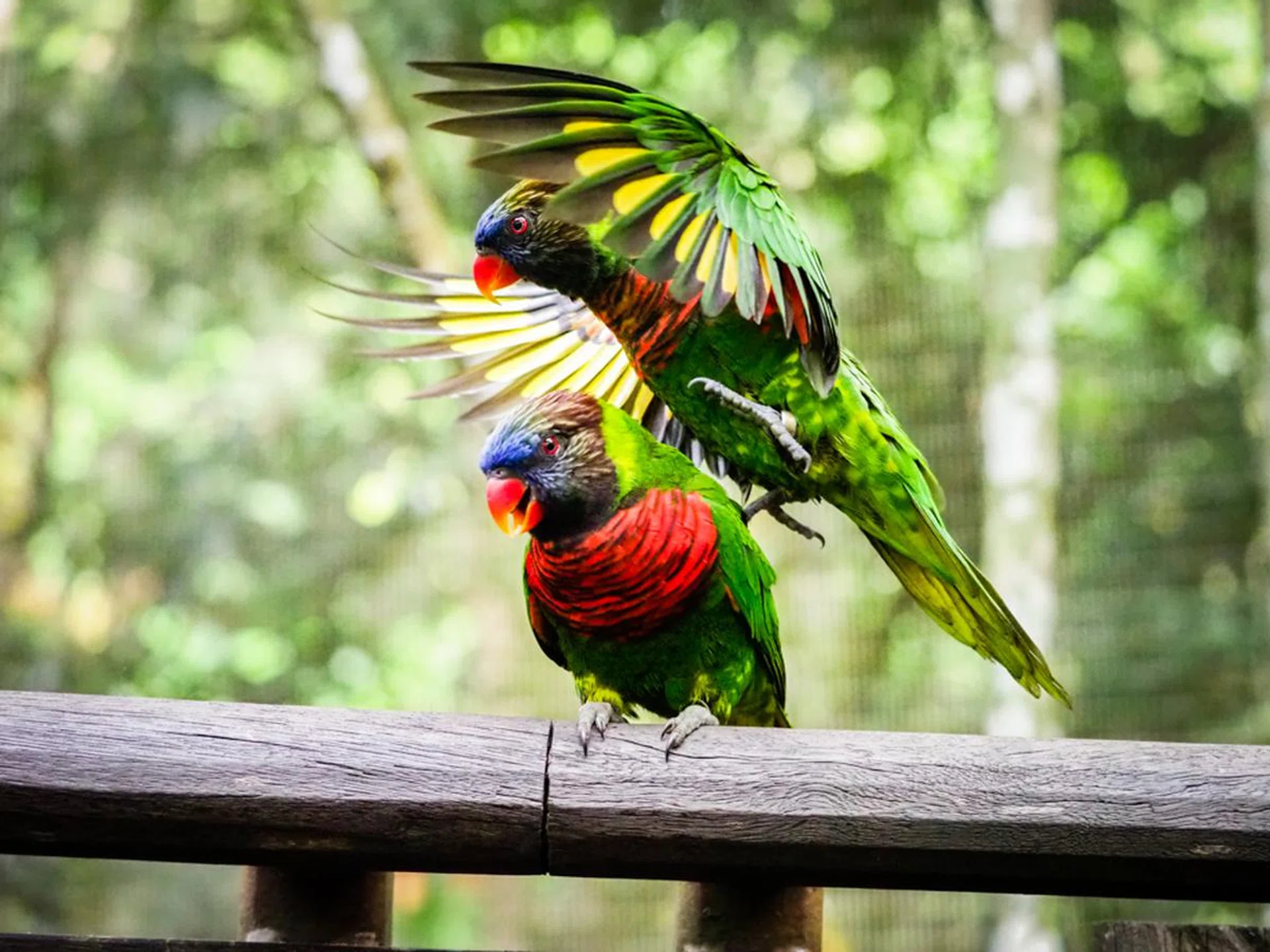 Thank you, Pro Capture. f/2.8 at 40mm, 1/2,000 sec, ISO 6400. Processed in Lightroom.