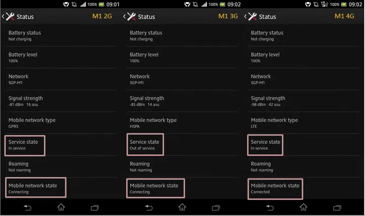 Image source: Chew Loh Seng