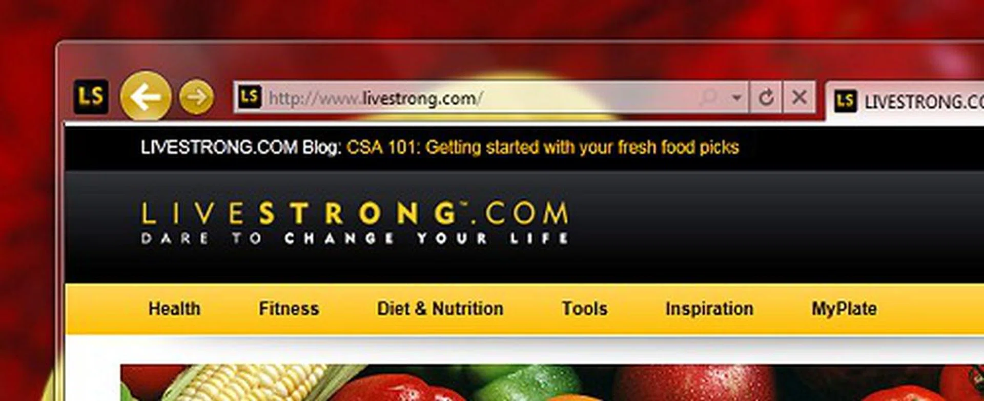 Subtle visual elements have been improved in IE9 to give the website used a greater focus. After all, browsers are launched to get to various site content and not focus on the browser itself.