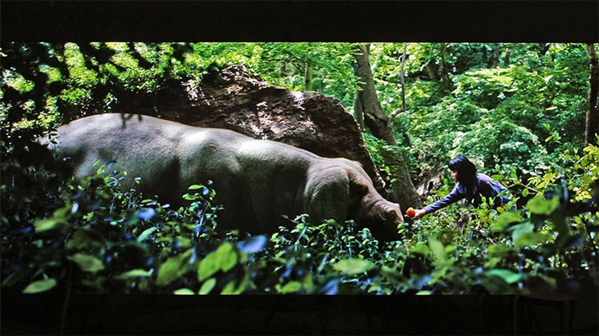 Atmos performance from the Signature OLED TVs could be better, but that's mainly due to the limitations of a sound bar setup. Still, kudos to LG for offering both Dolby Vision and Dolby Atmos in a single package. (Scene from: Okja.)