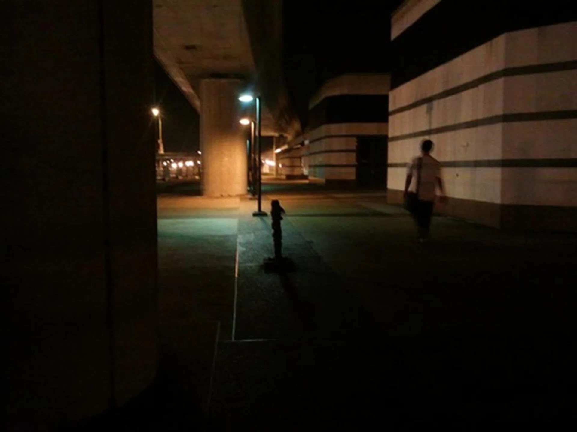 Photo taken with the Wave II
