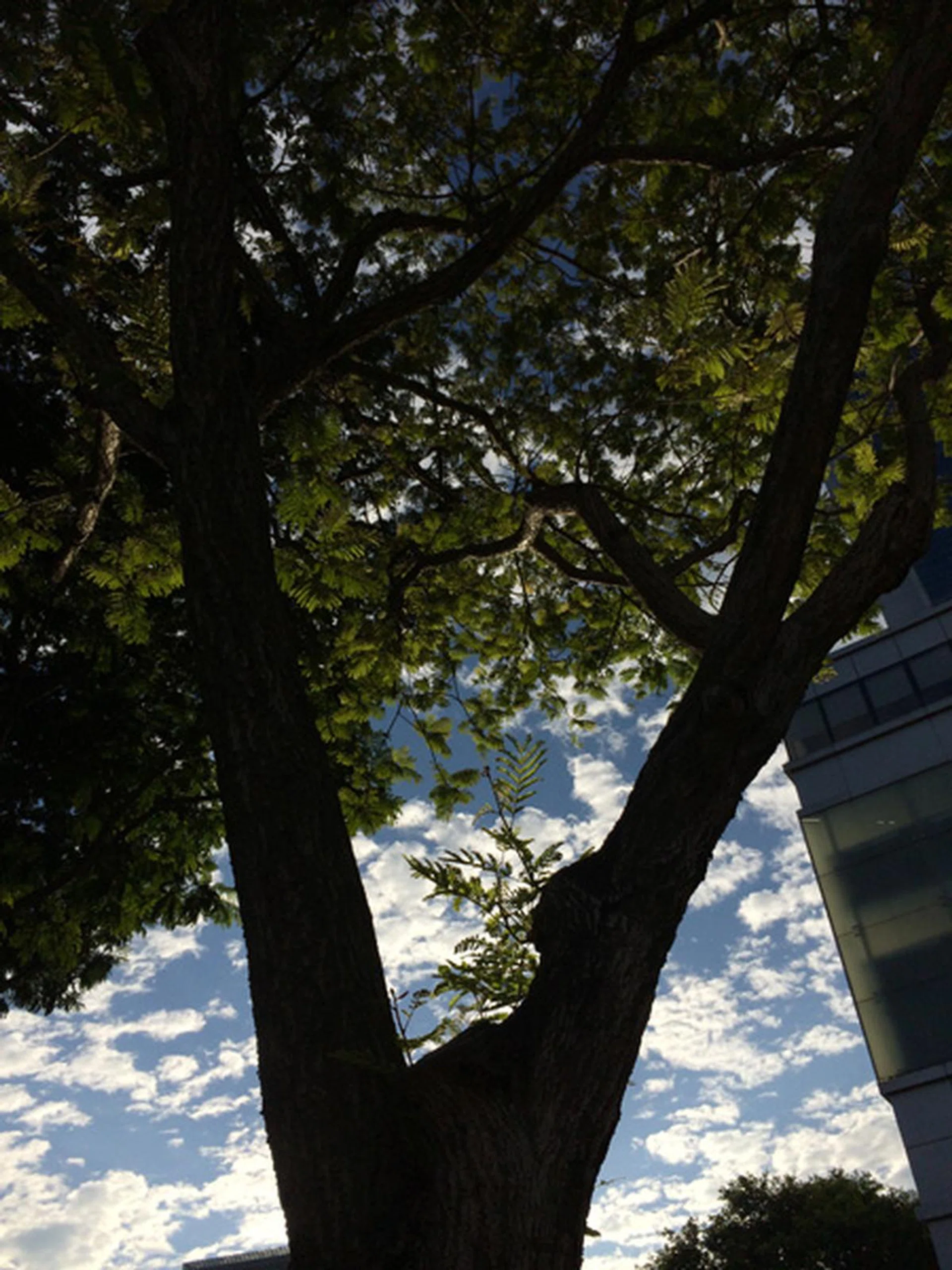 iPhone 5S, f/2.2 at 30mm, 1/8264 sec, ISO 40.